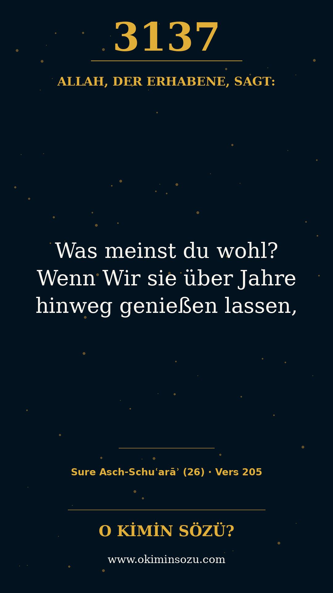 quran 3137 s026 a205