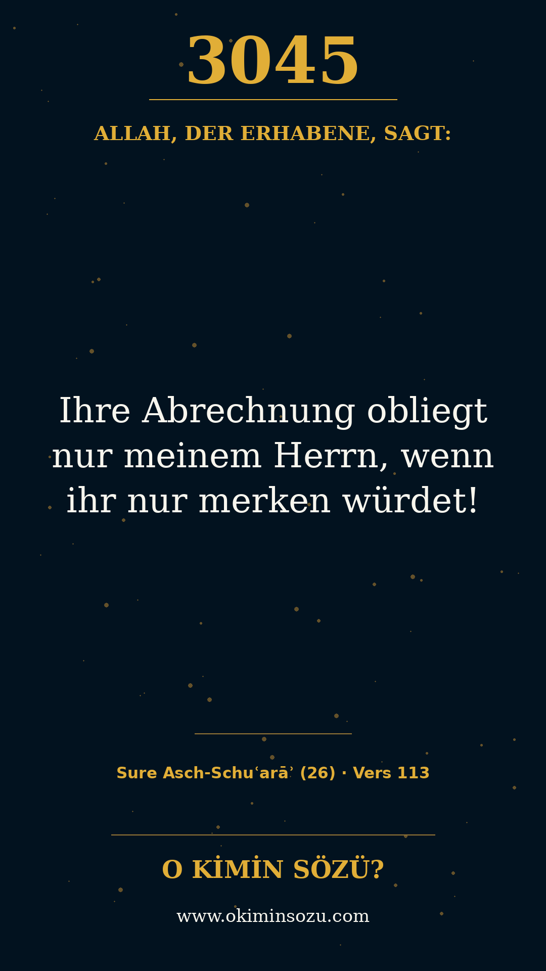 quran 3045 s026 a113