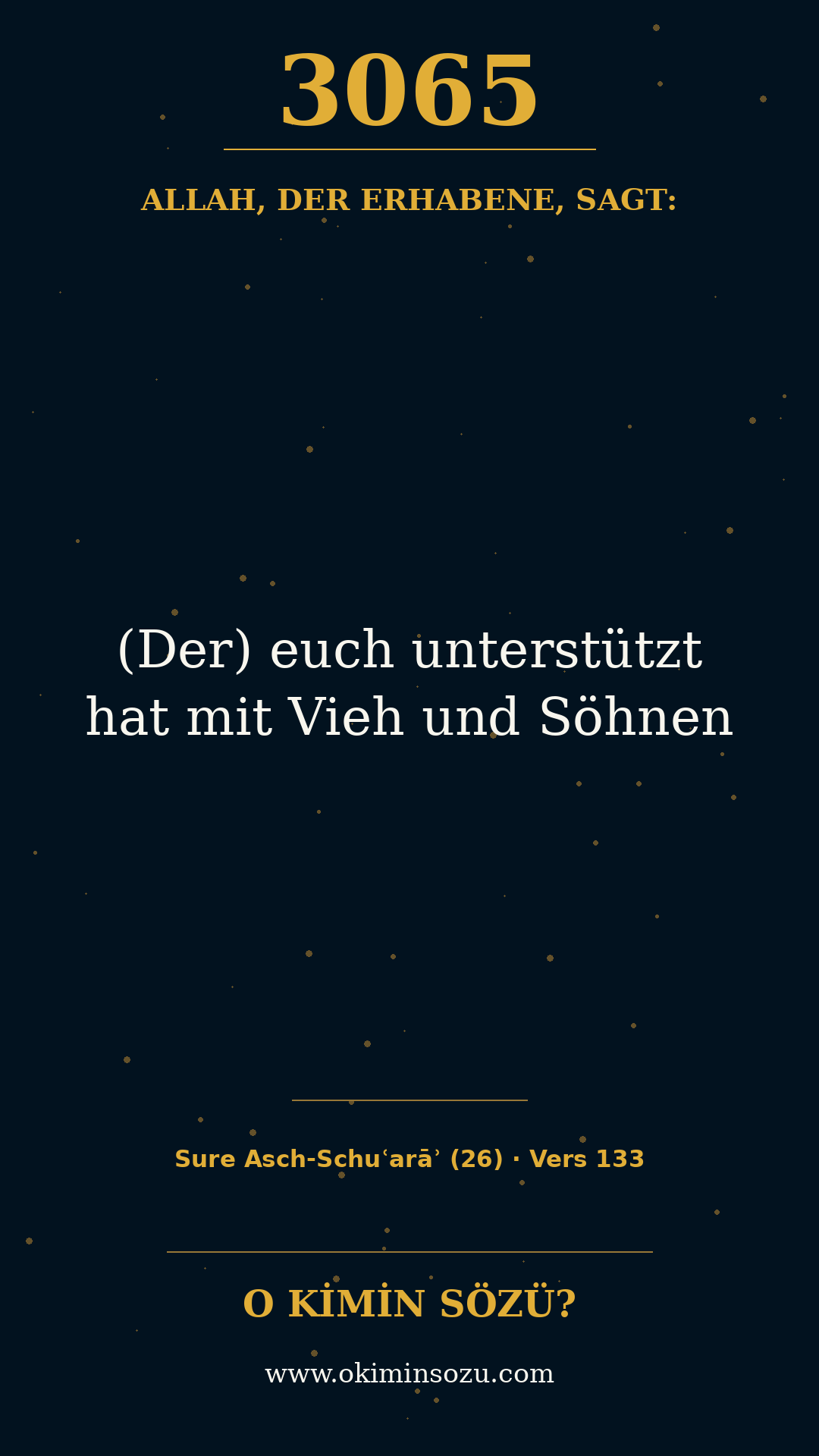 quran 3065 s026 a133