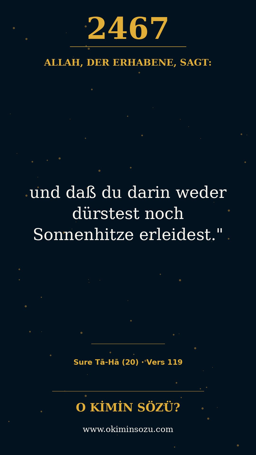quran 2467 s020 a119