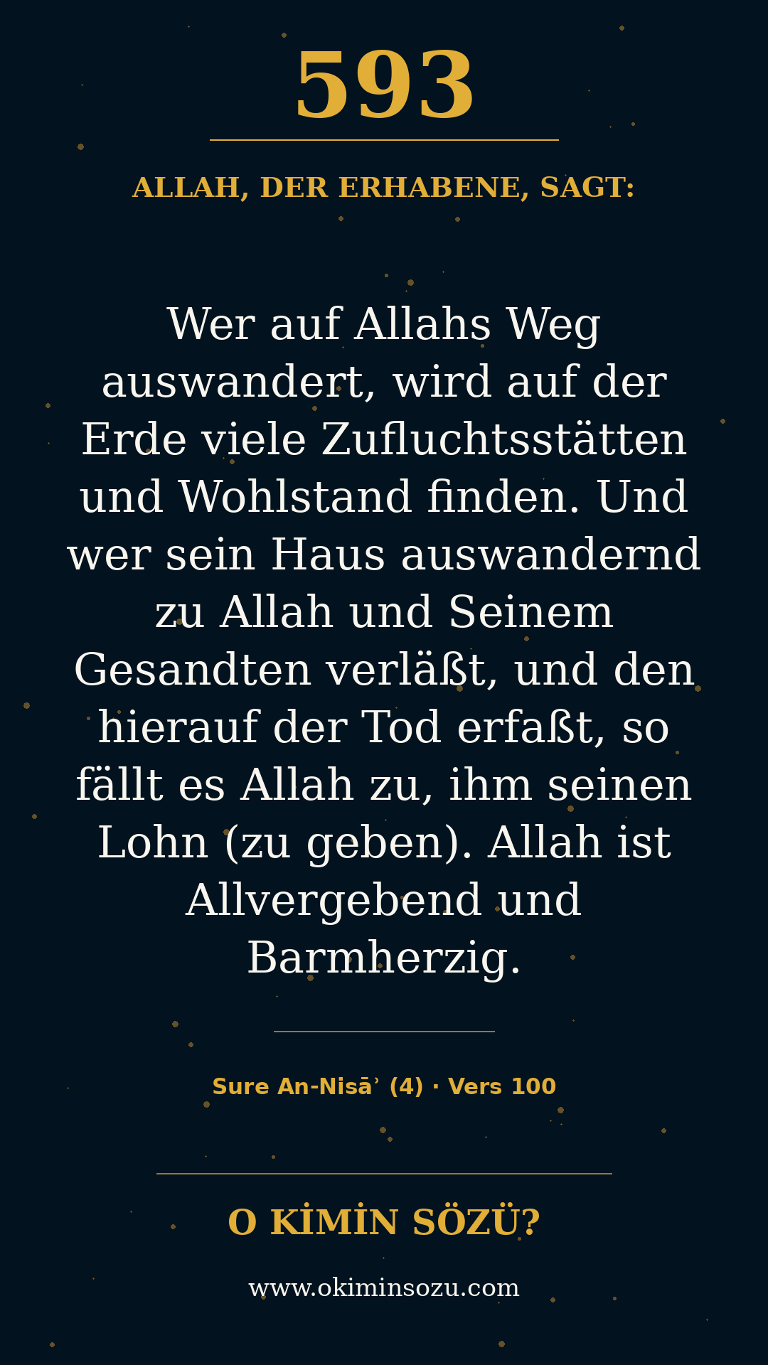quran 0593 s004 a100