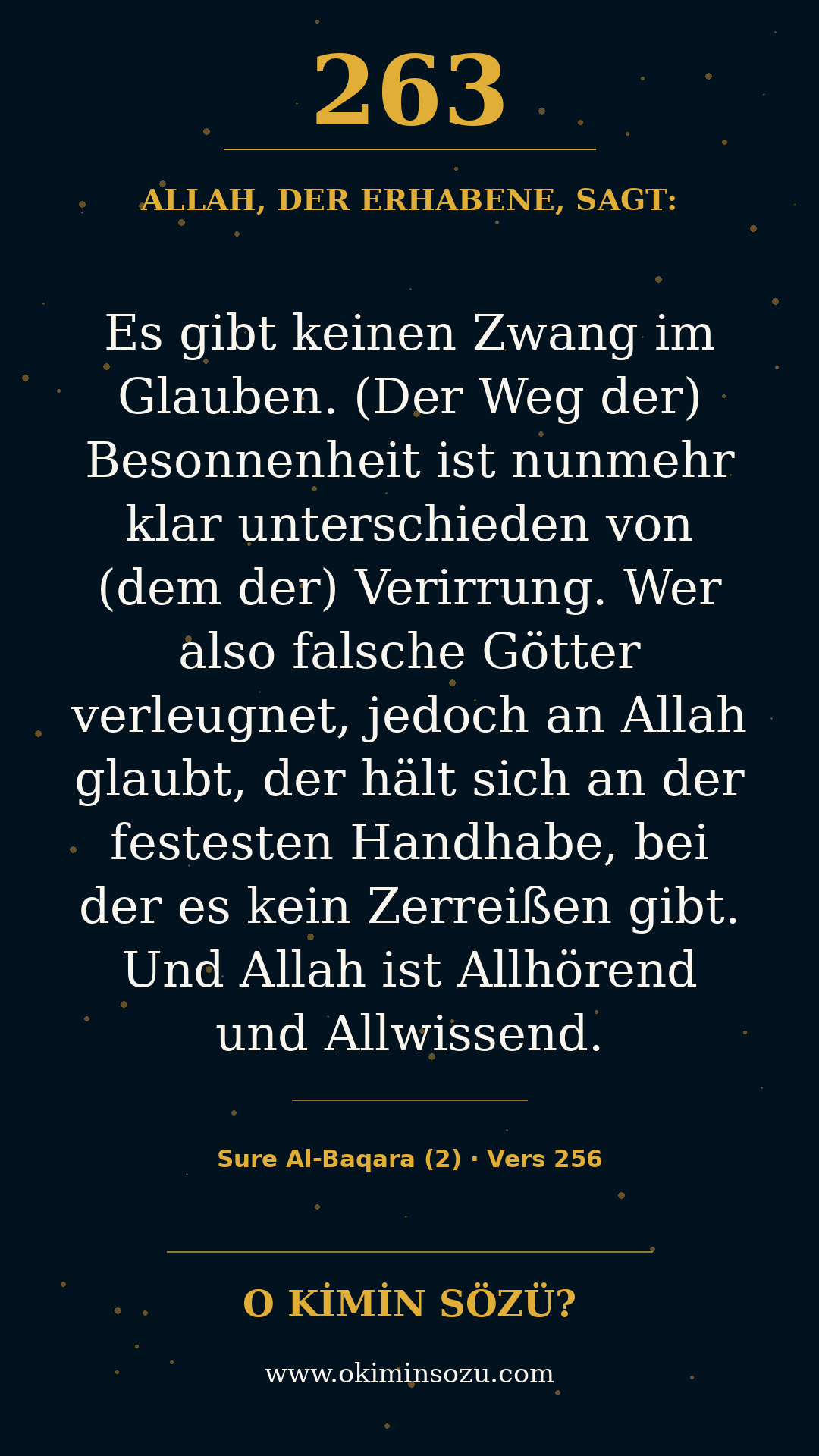 quran 0263 s002 a256