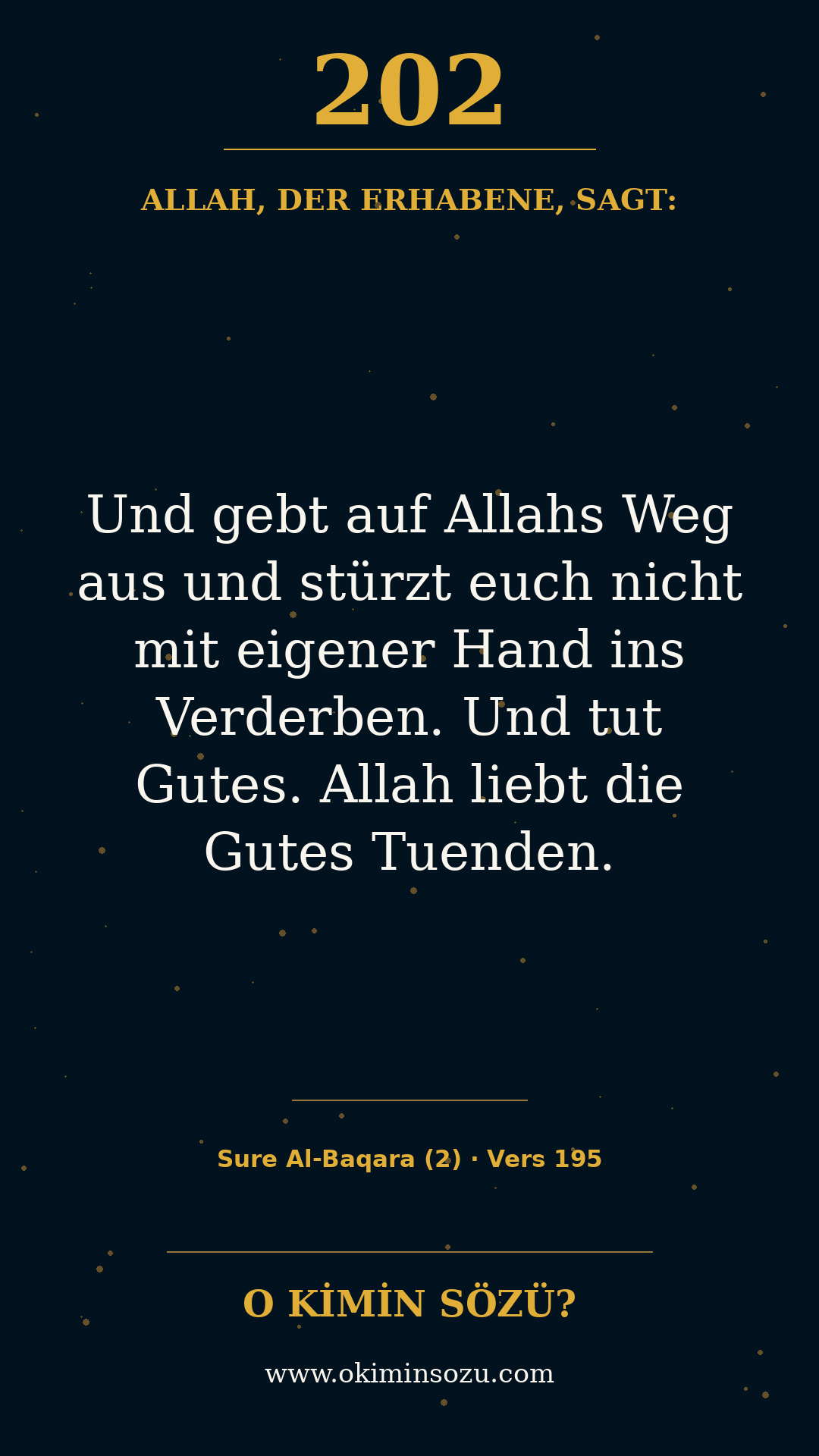 quran 0202 s002 a195