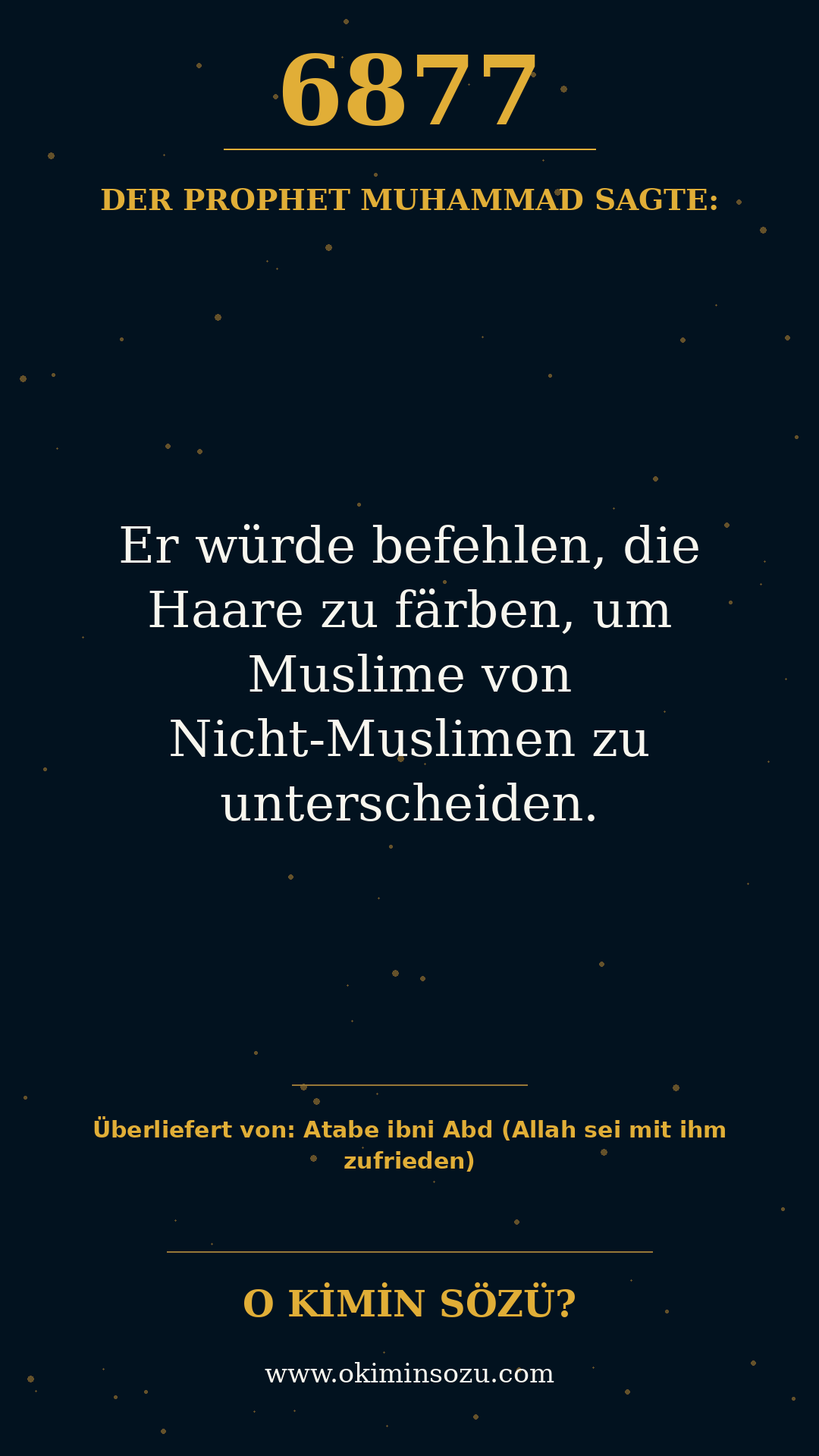 hadith 6877