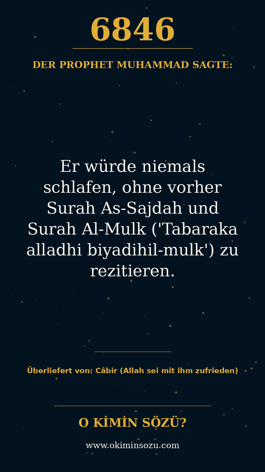 hadith 6846
