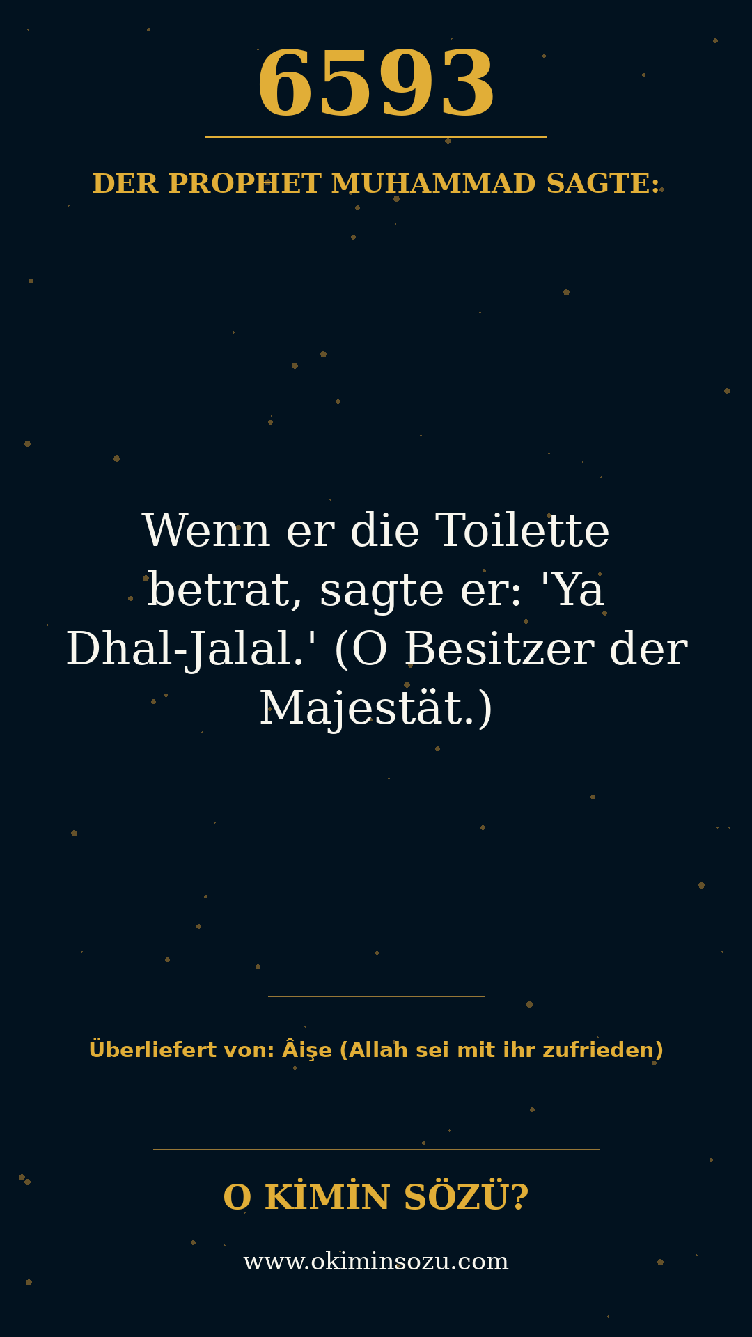 hadith 6593