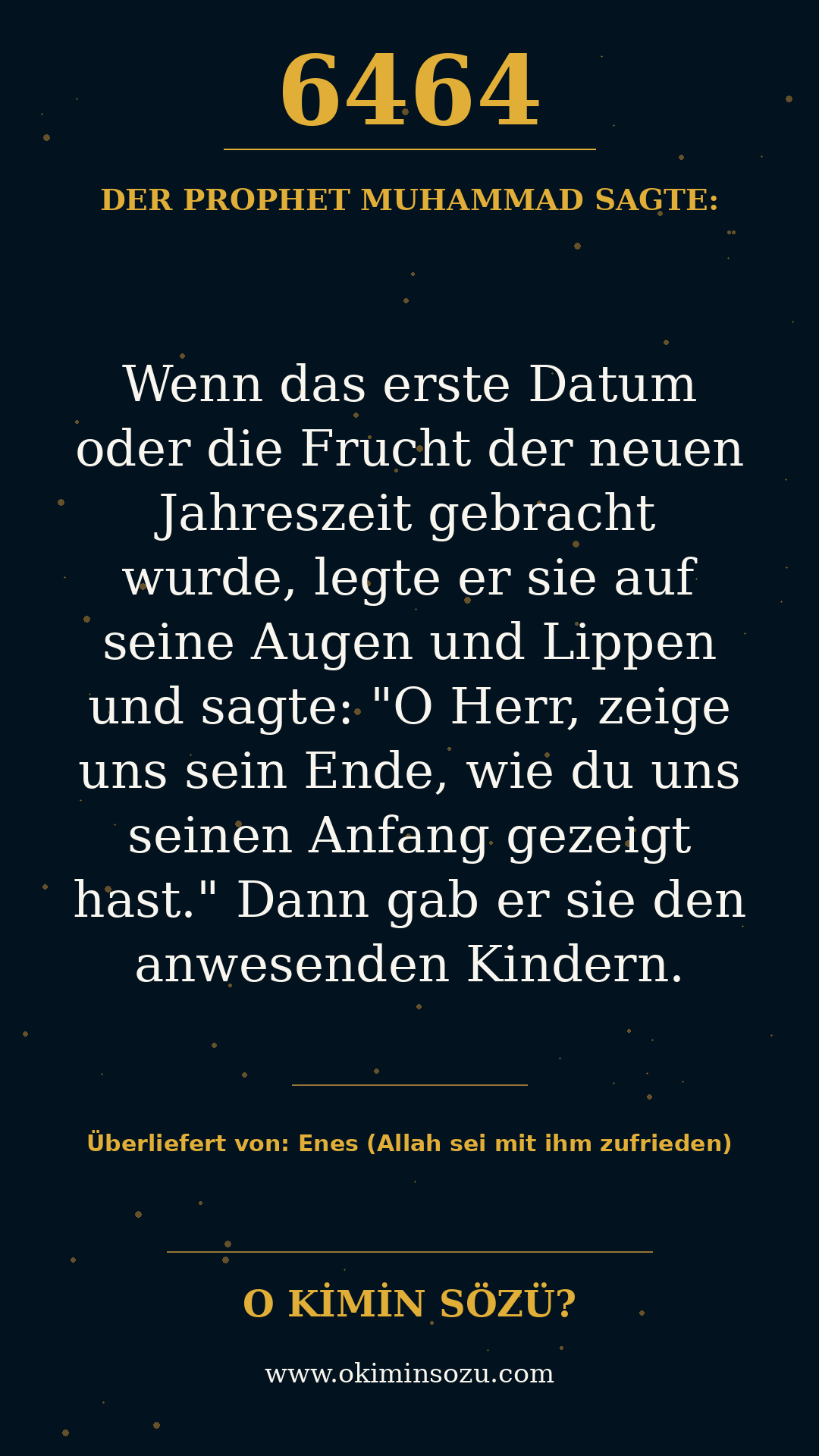 hadith 6464