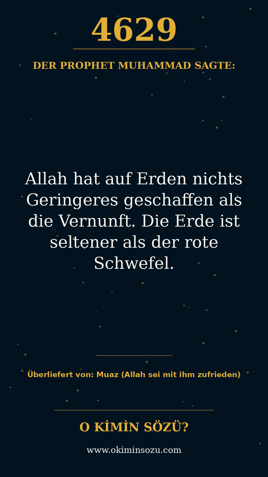 hadith 4629