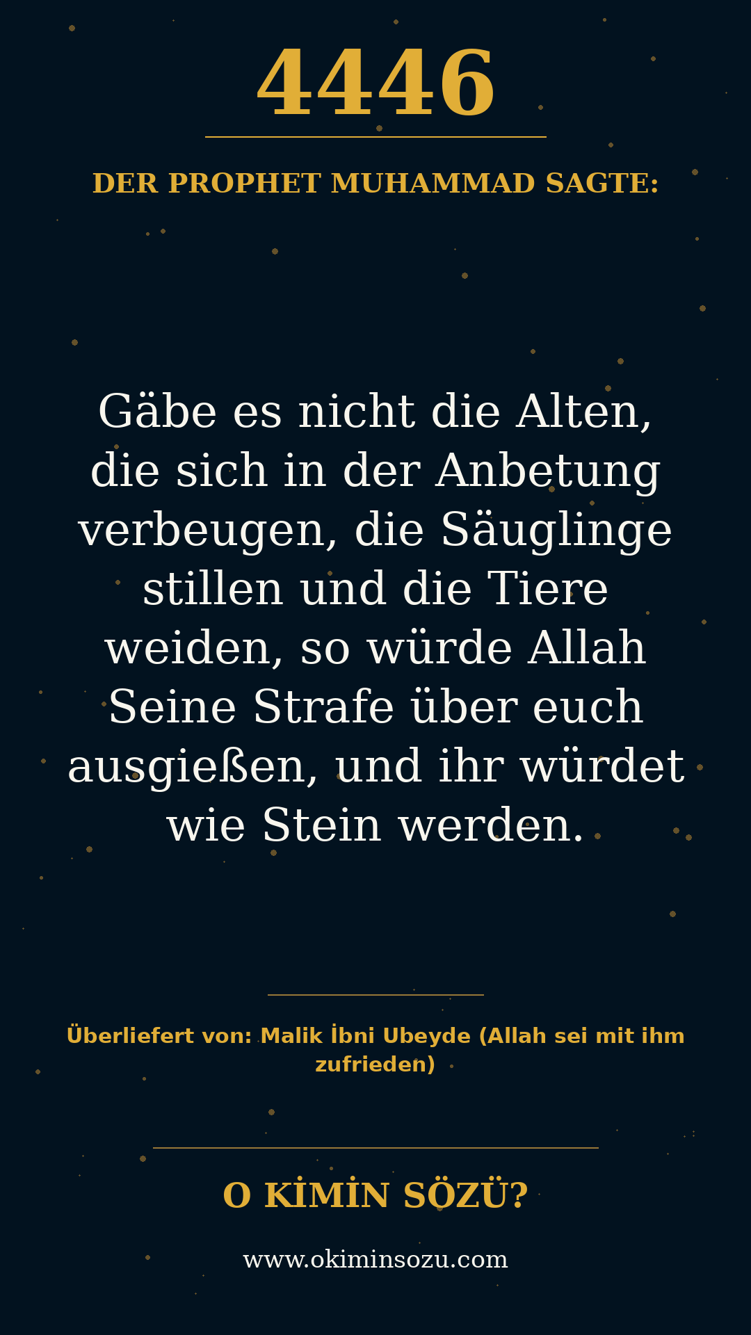 hadith 4446