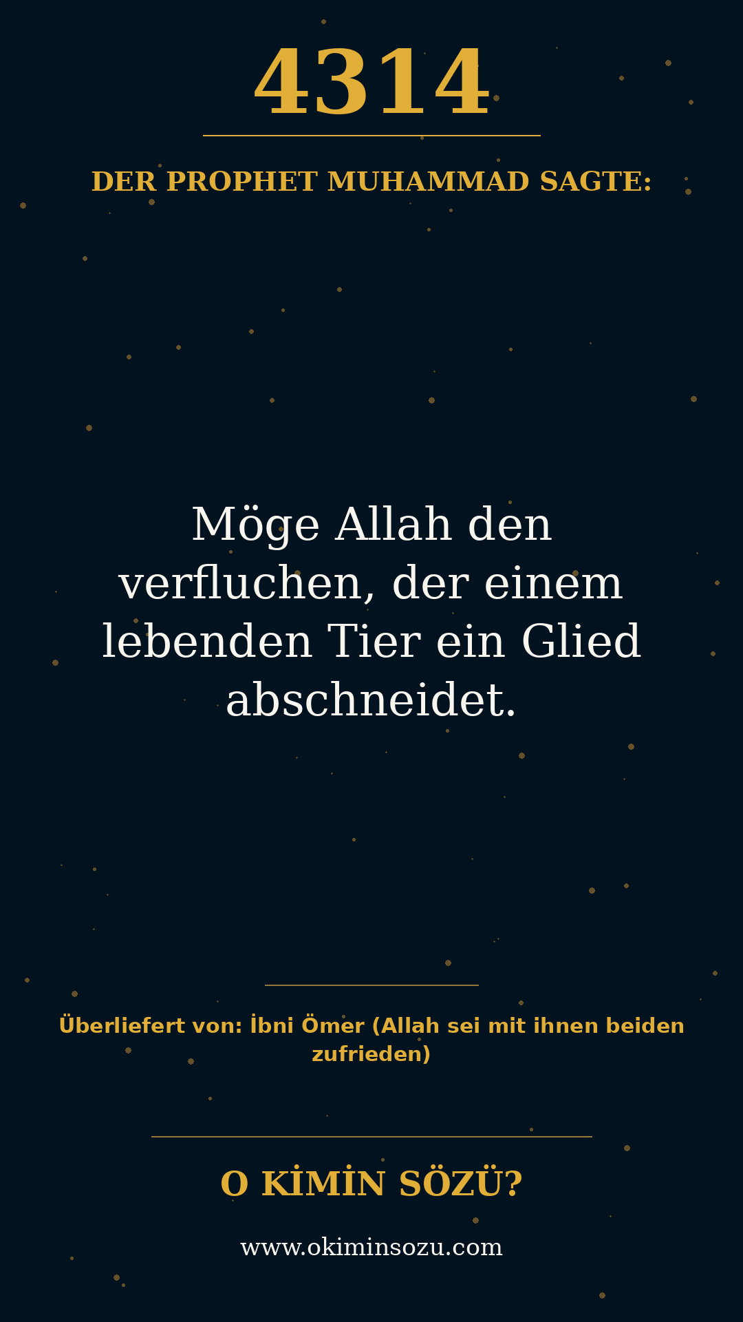 hadith 4314