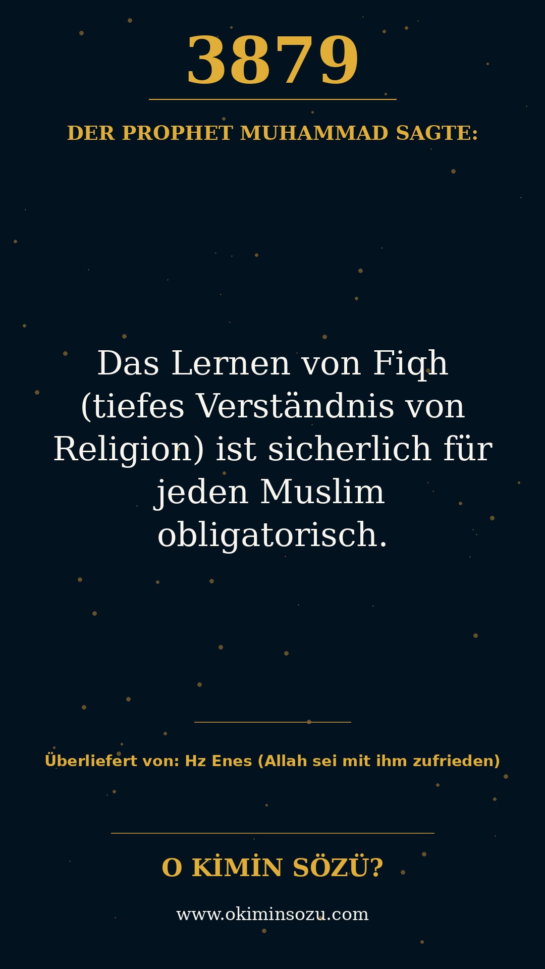 hadith 3879