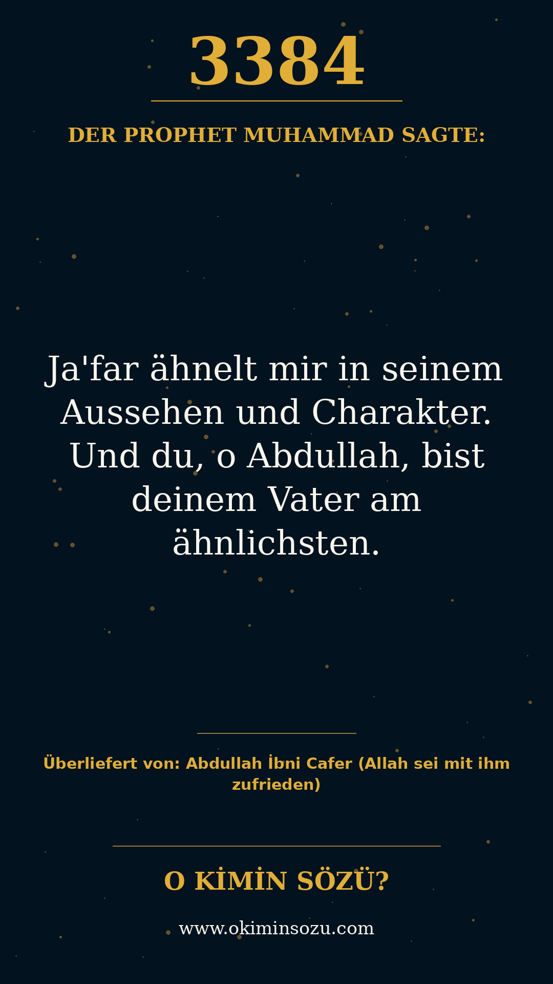 hadith 3384