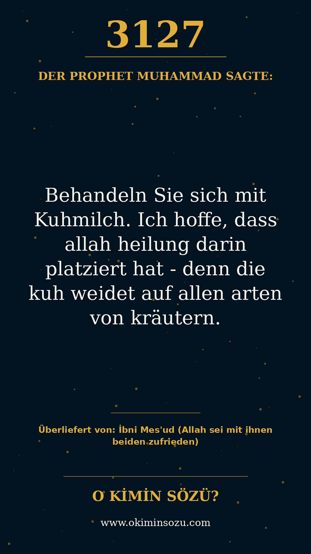 hadith 3127
