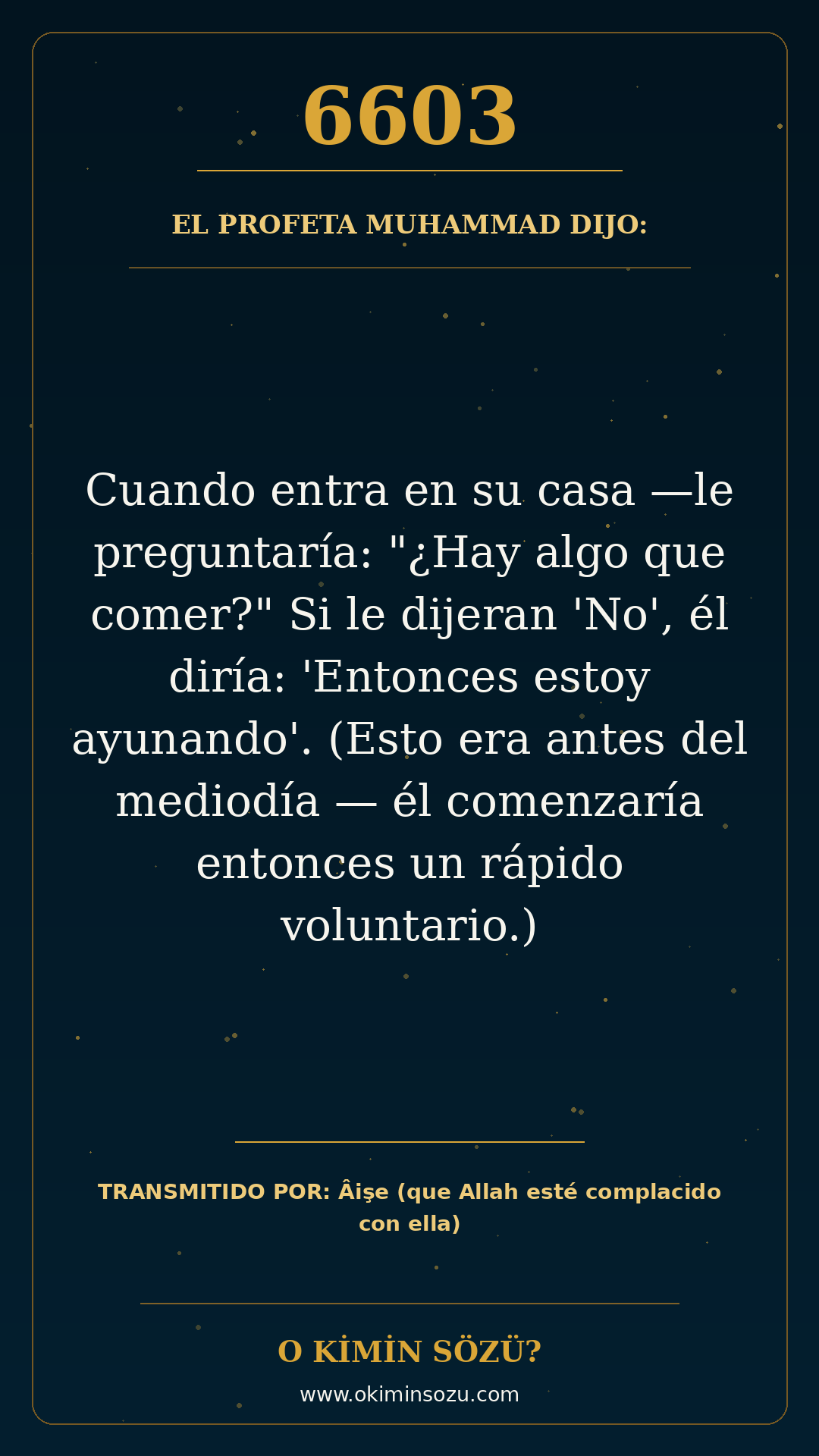 hadis 6603 es