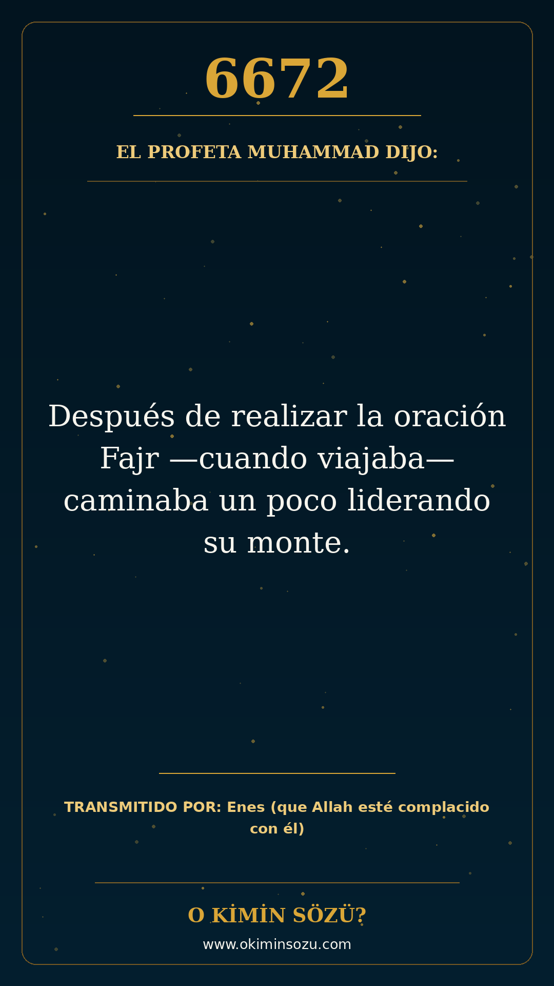 hadis 6672 es