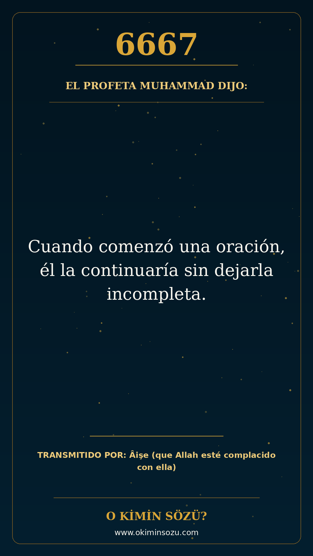 hadis 6667 es