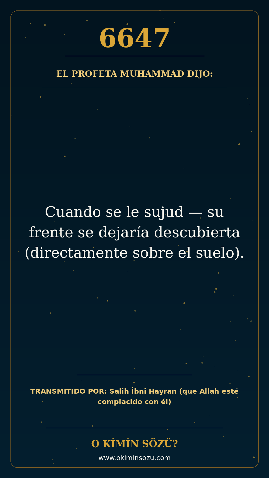 hadis 6647 es