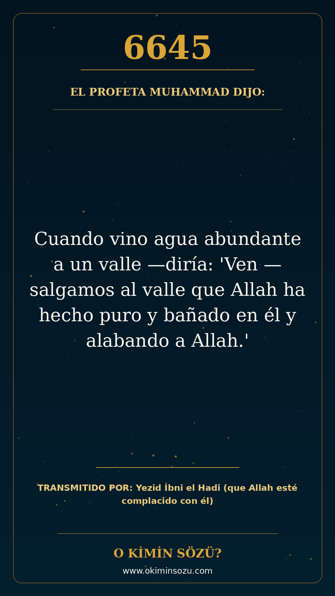 hadis 6645 es