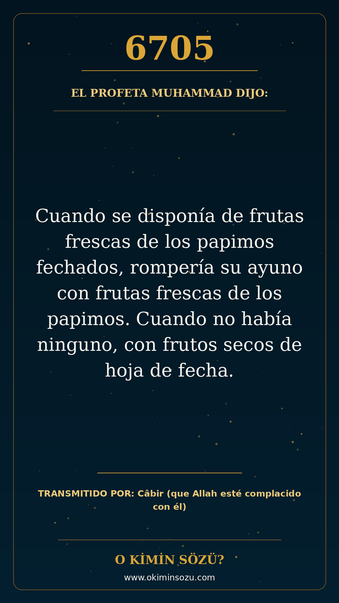 hadis 6705 es