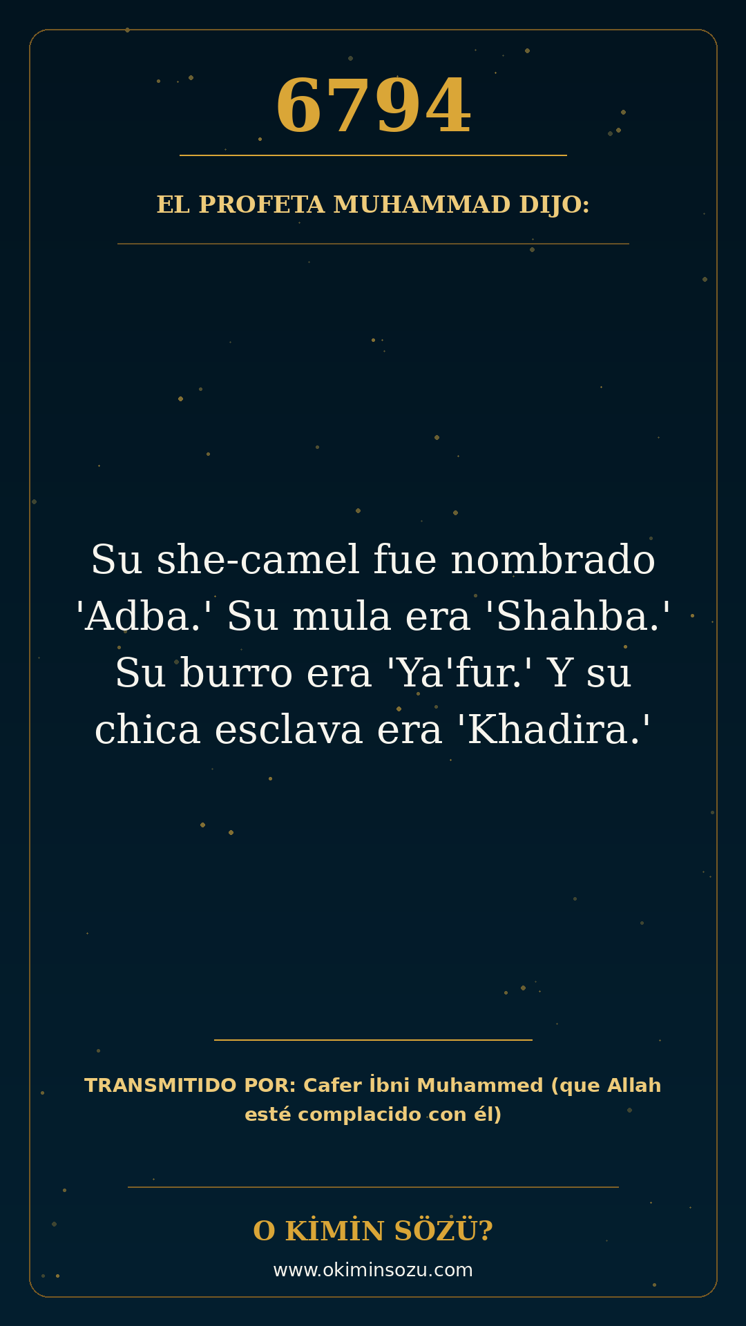 hadis 6794 es