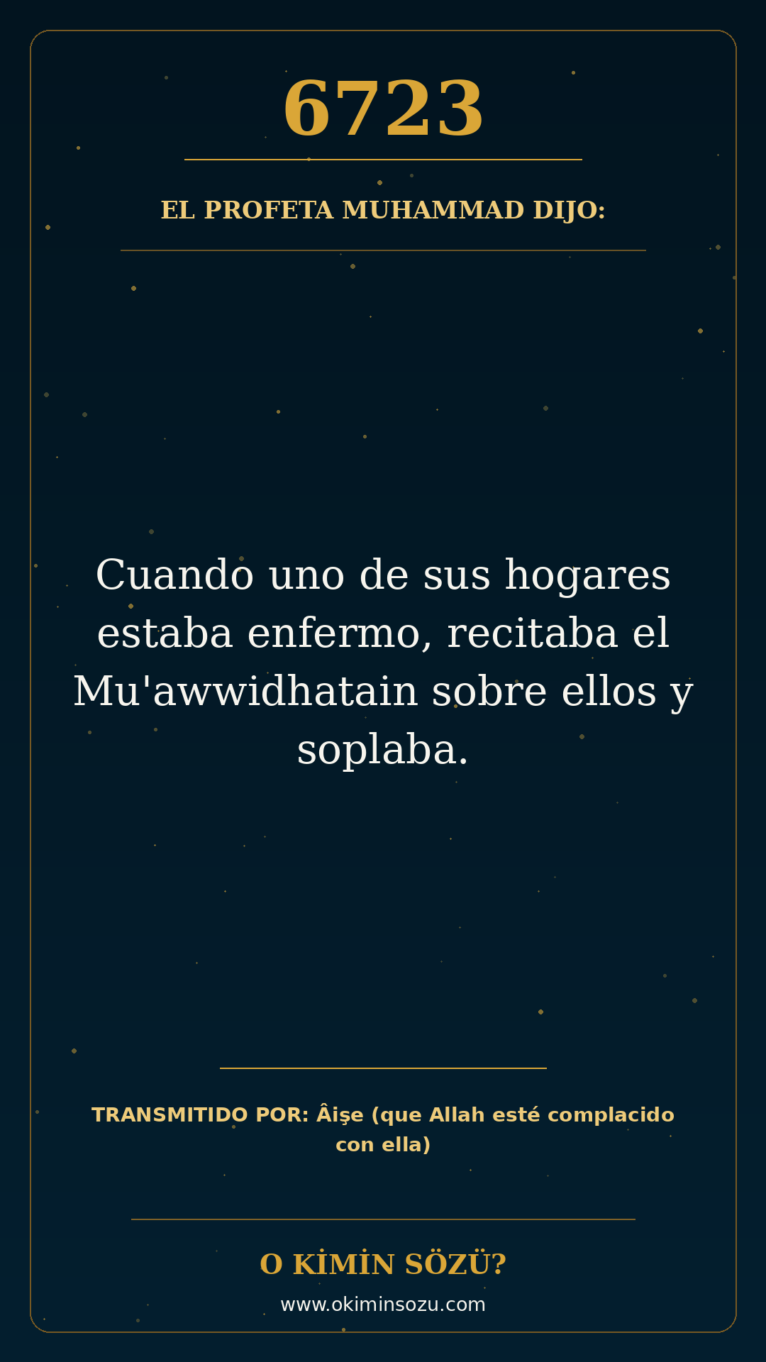 hadis 6723 es