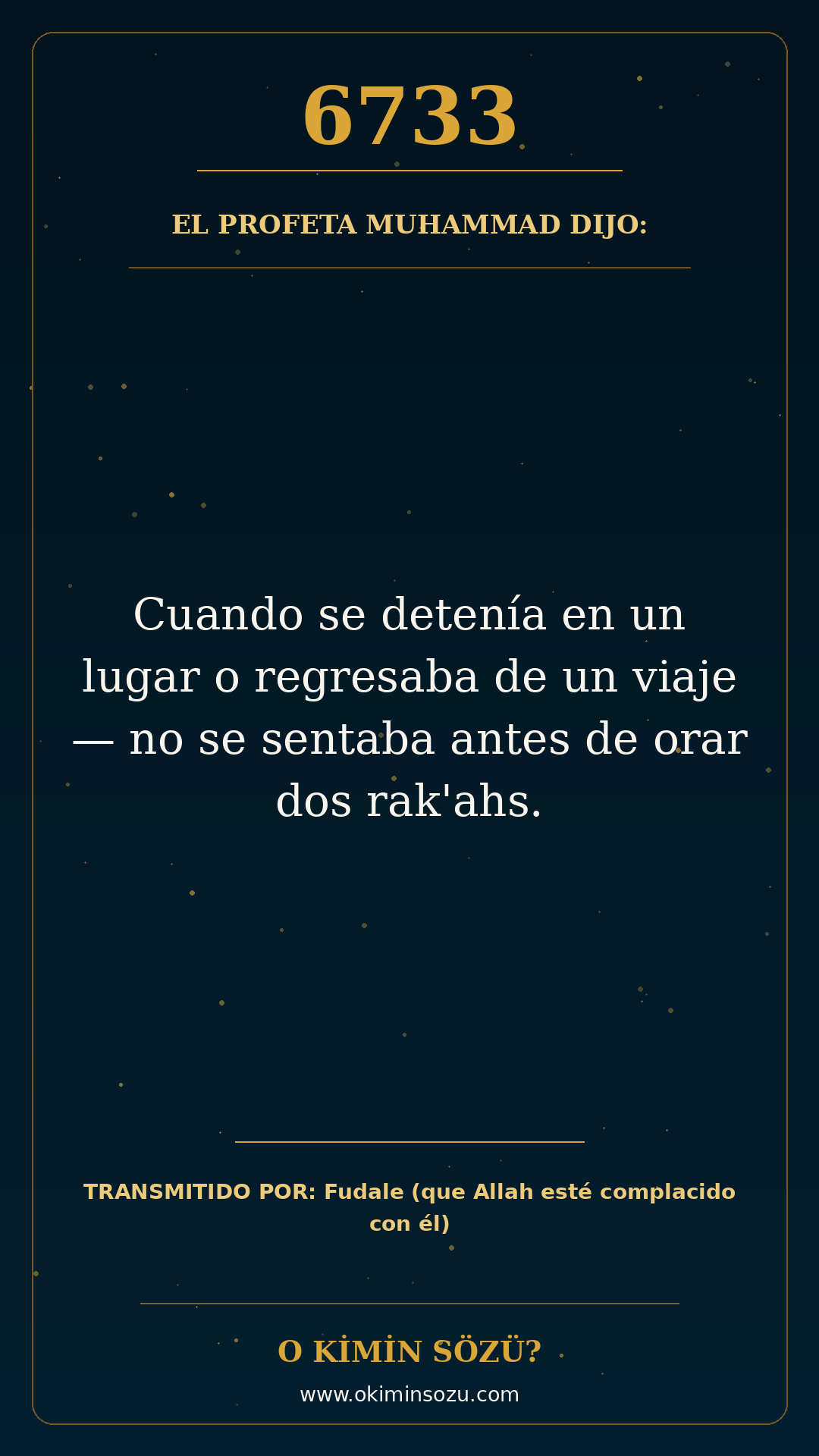 hadis 6733 es