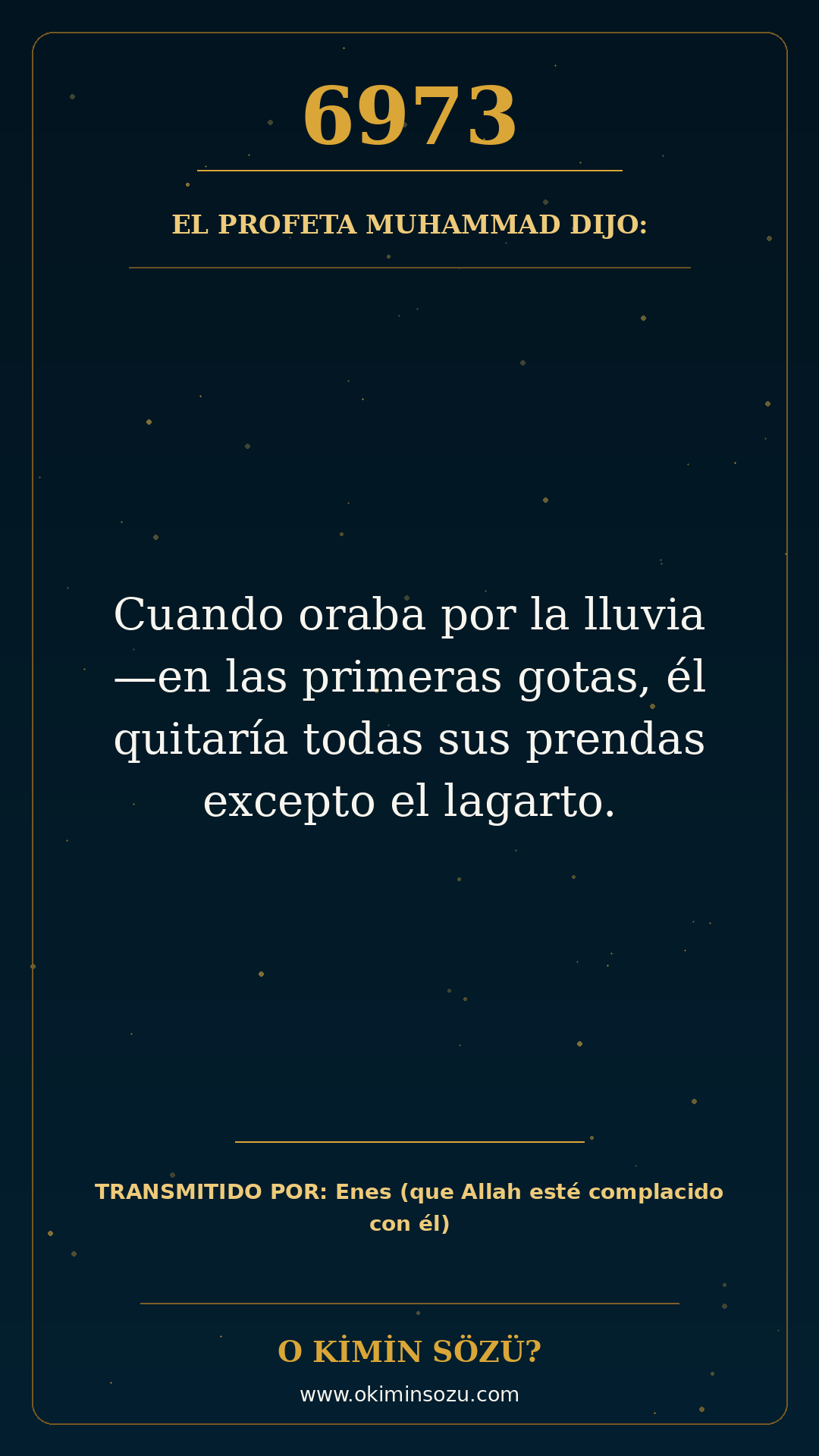 hadis 6973 es