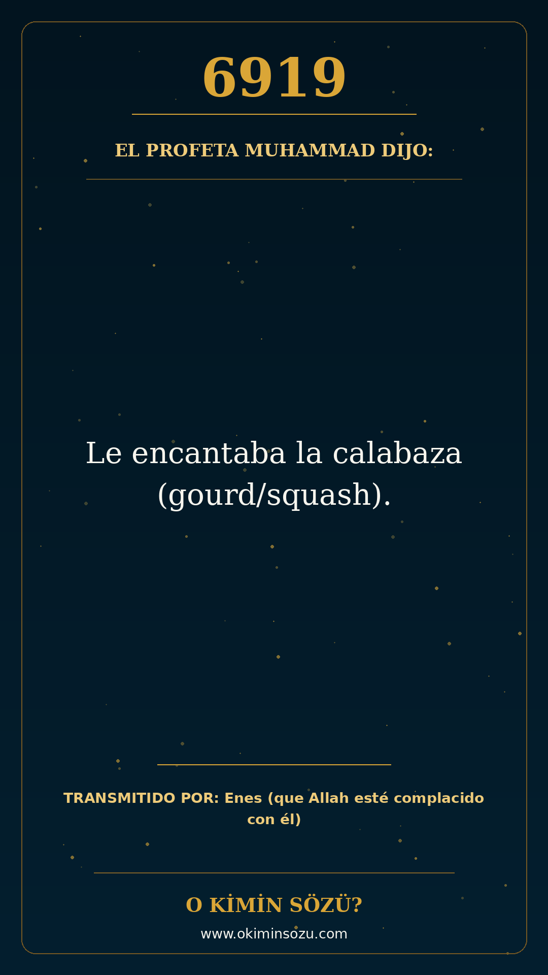 hadis 6919 es