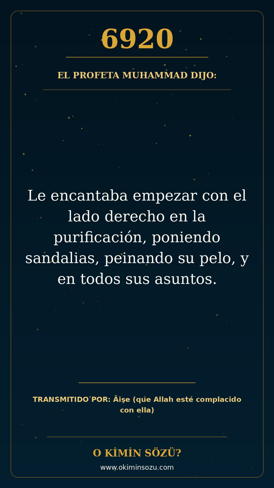 hadis 6920 es