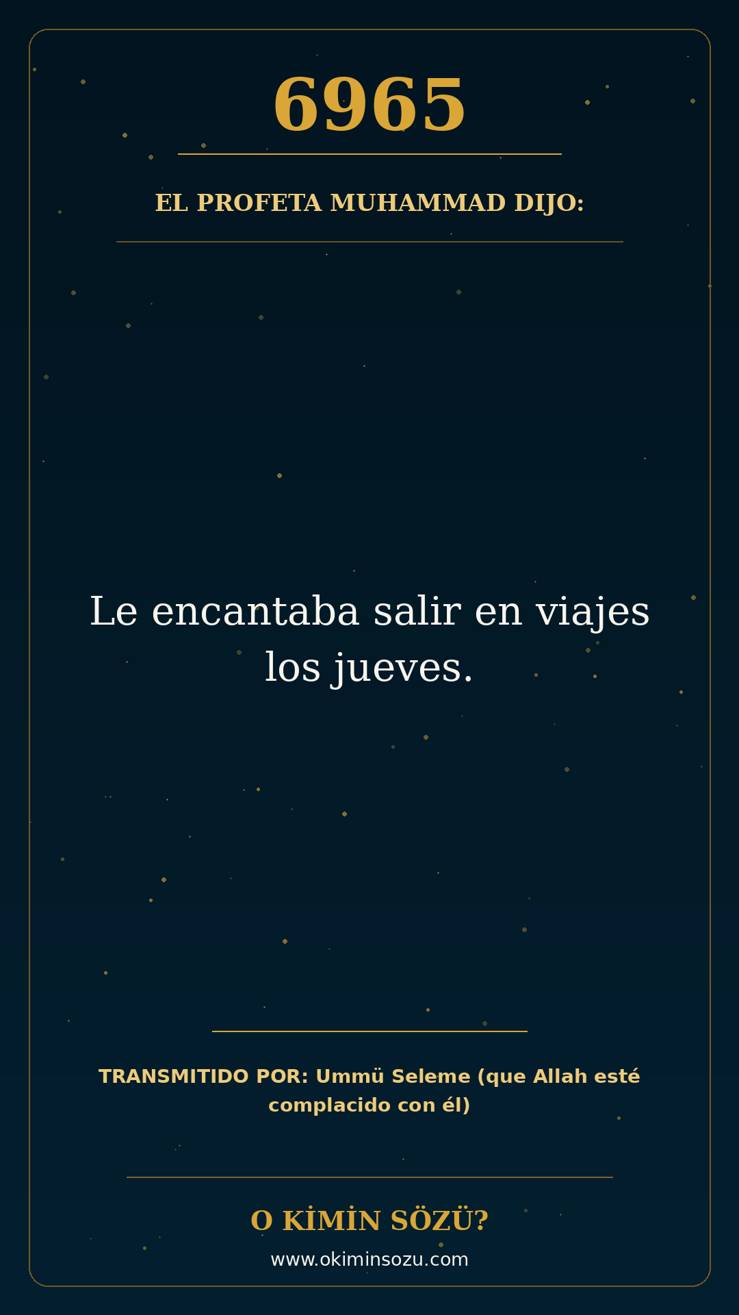hadis 6965 es