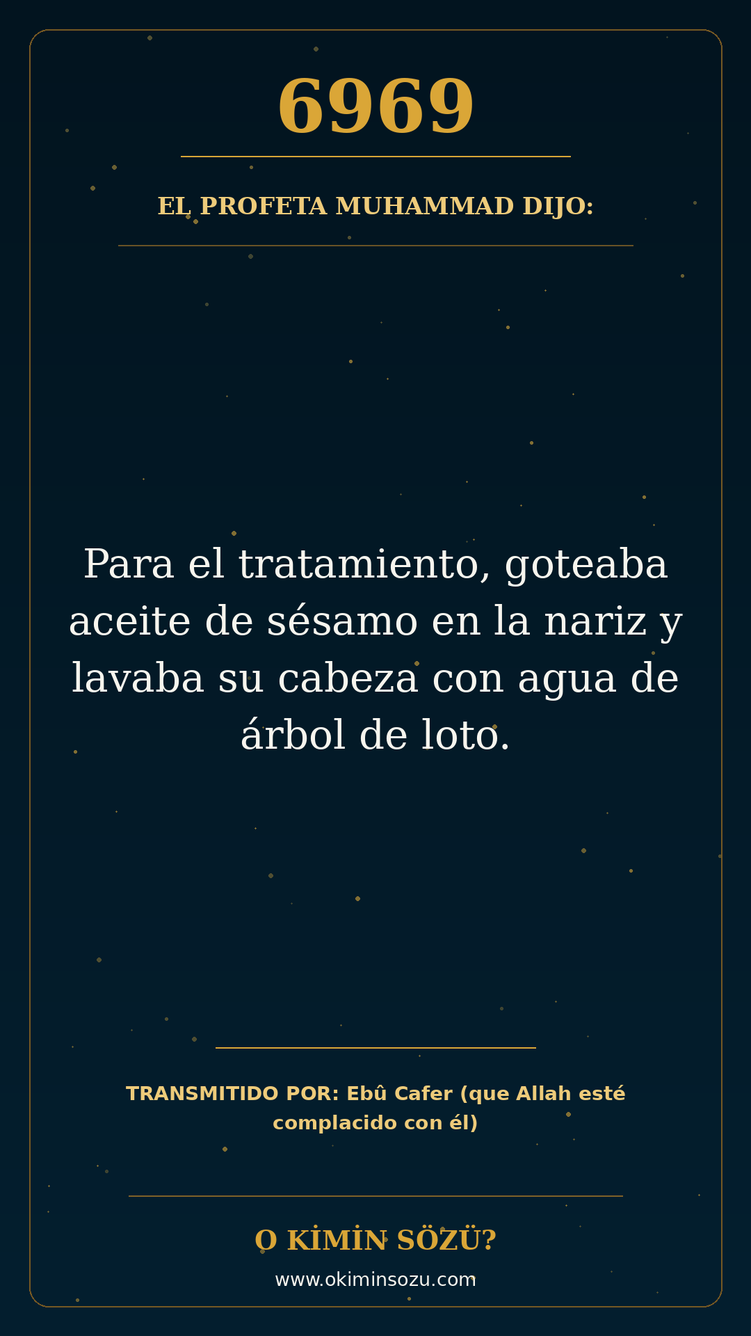 hadis 6969 es