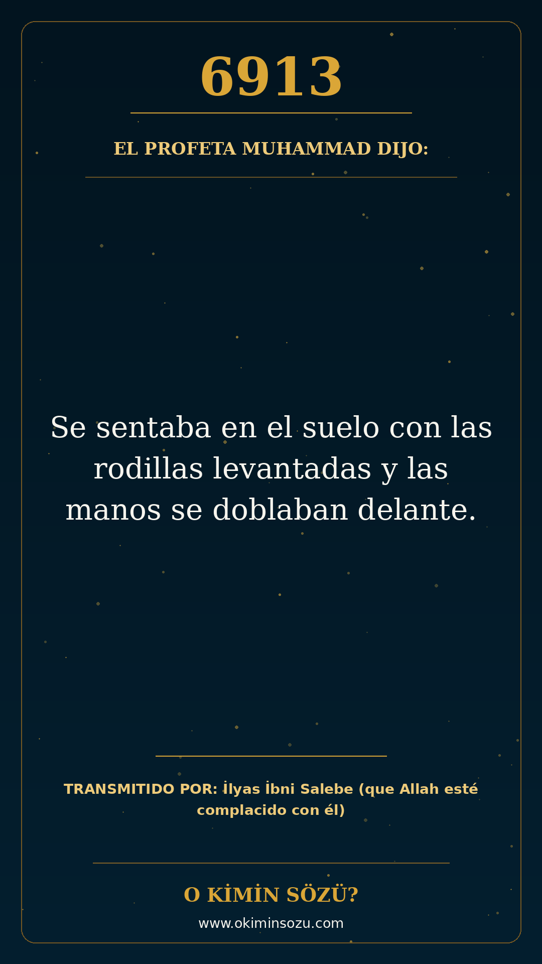 hadis 6913 es