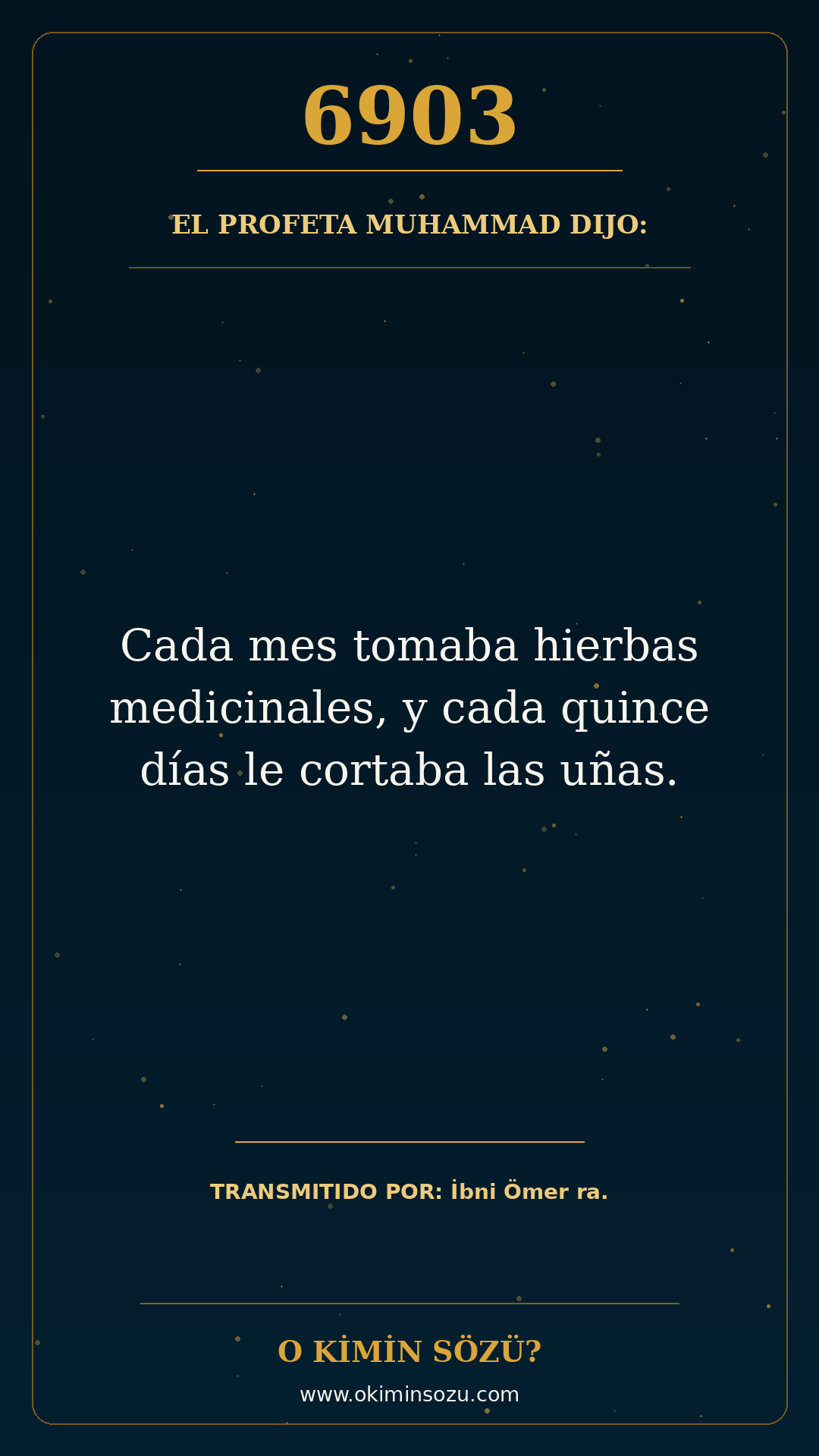 hadis 6903 es