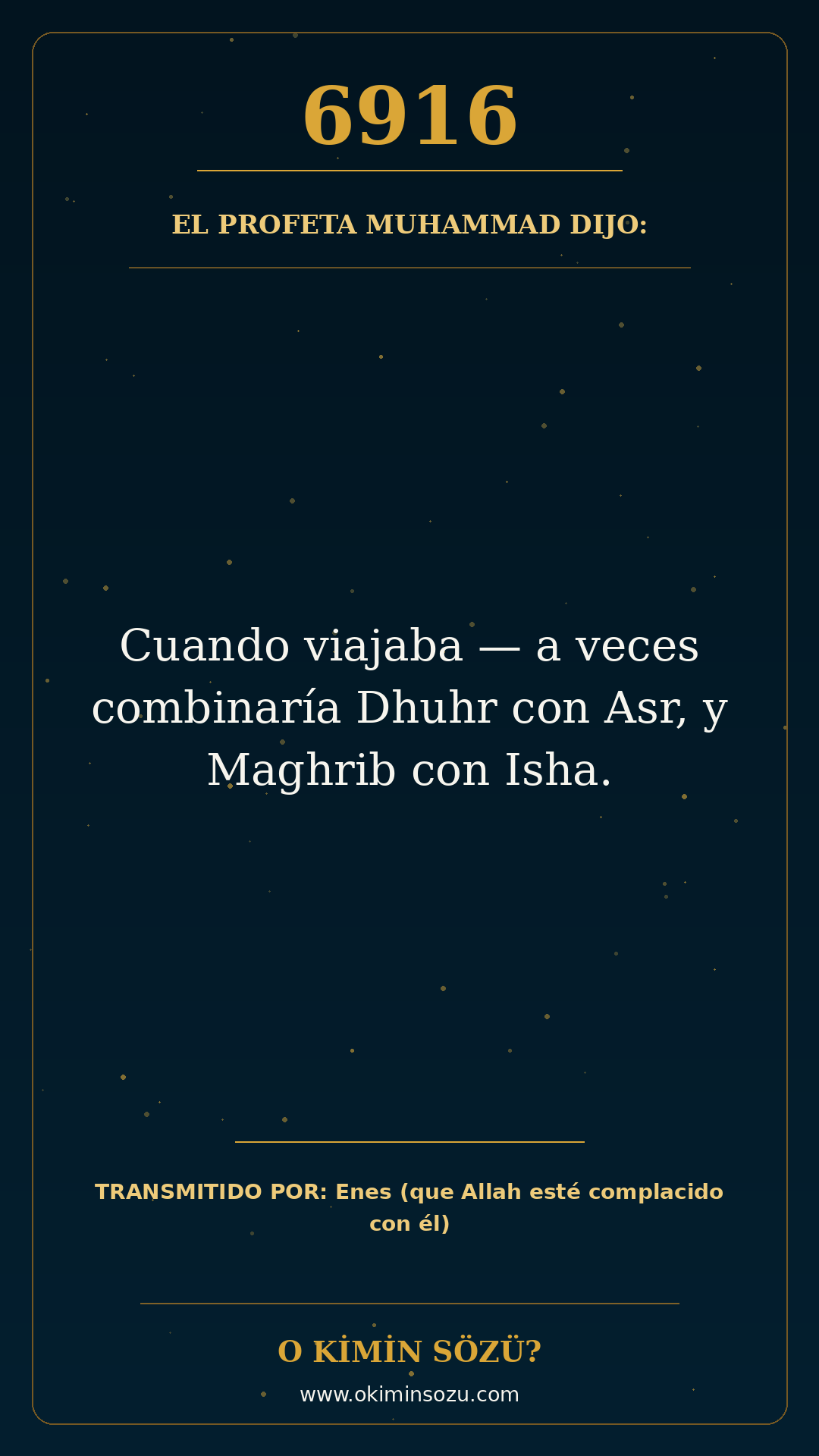 hadis 6916 es