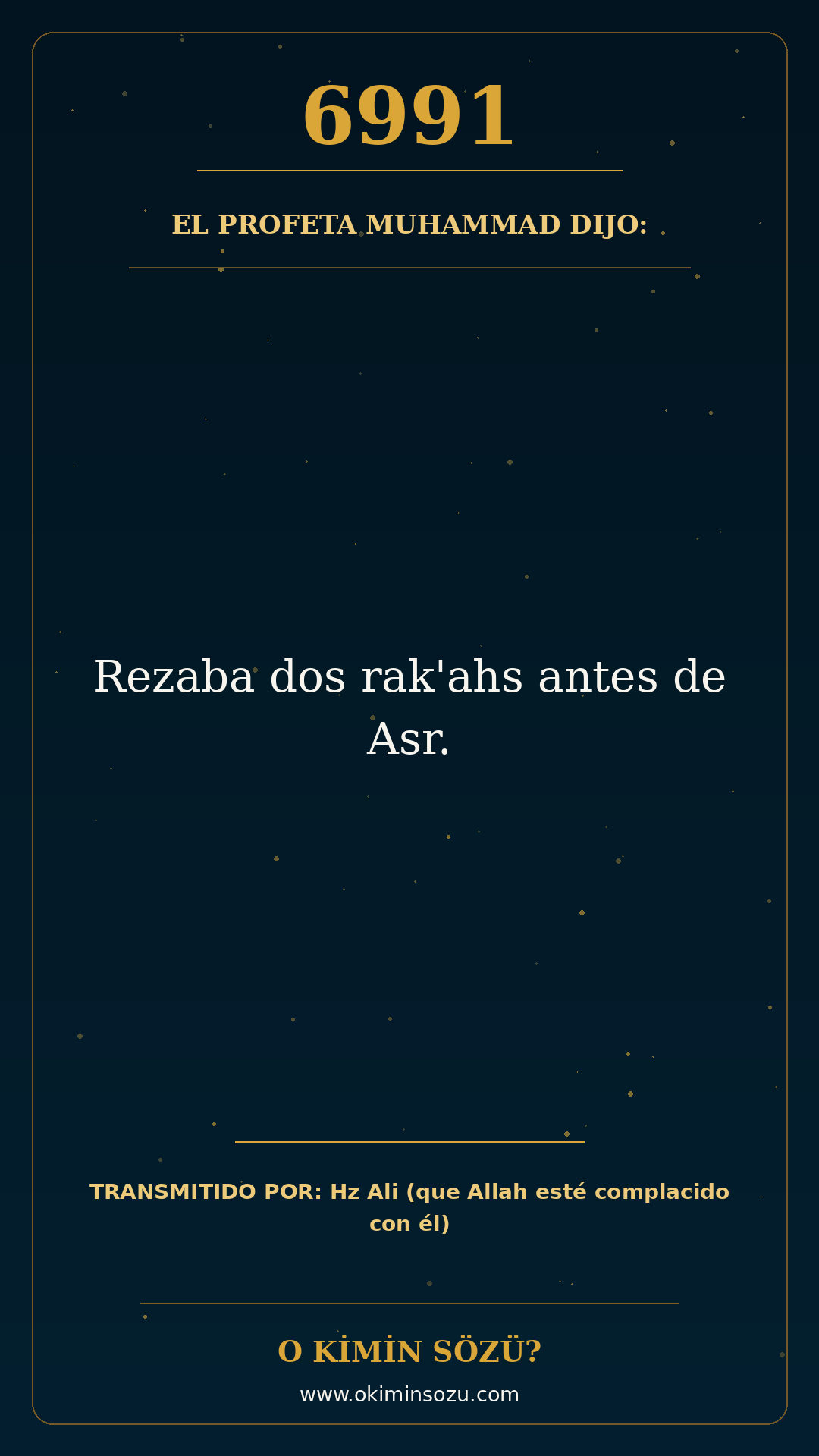 hadis 6991 es