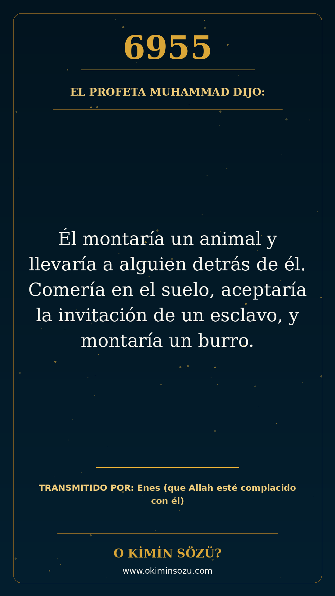 hadis 6955 es