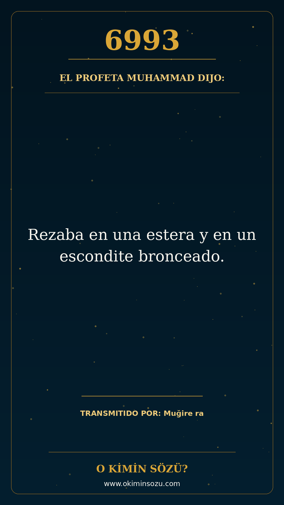 hadis 6993 es