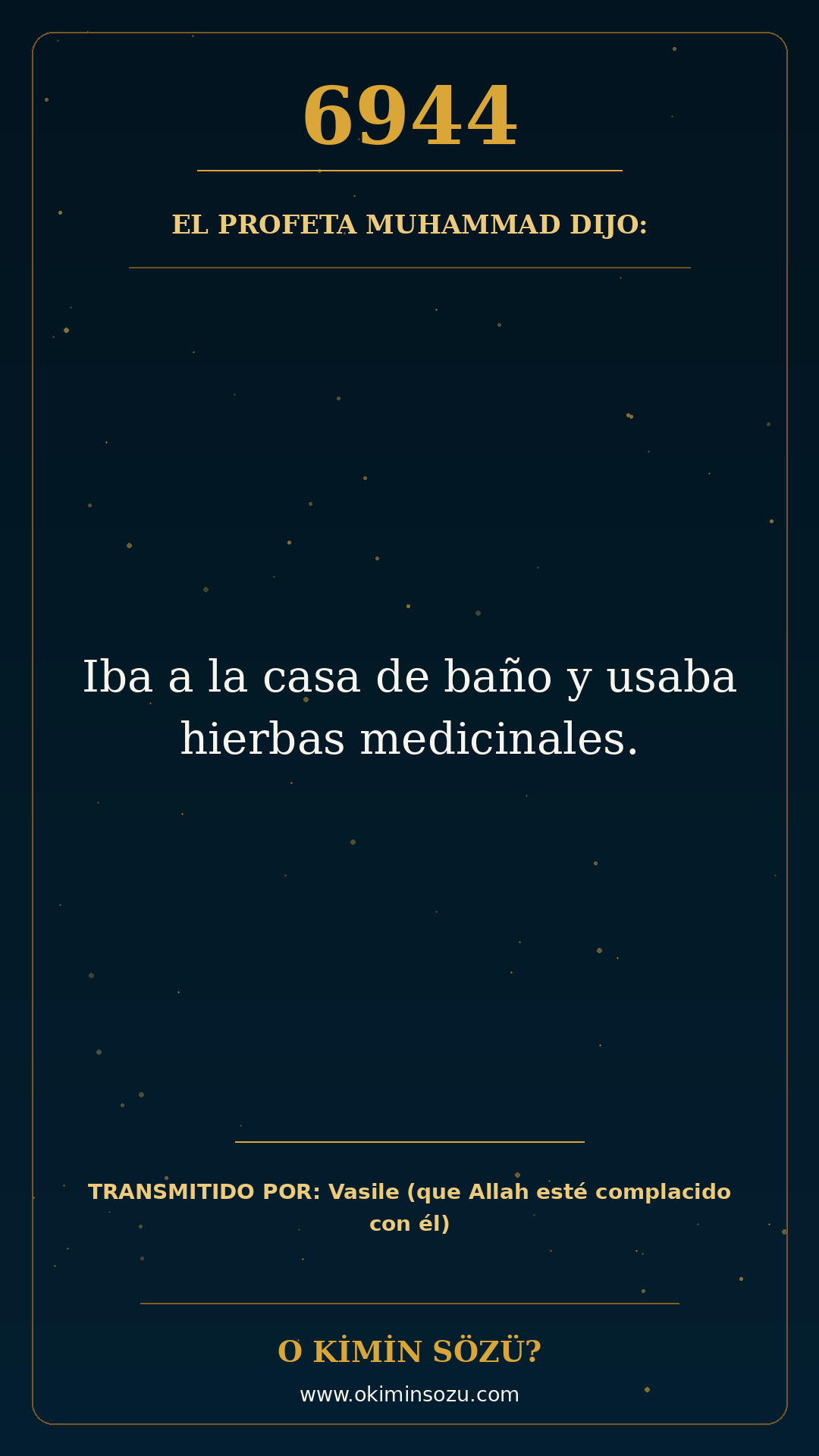 hadis 6944 es