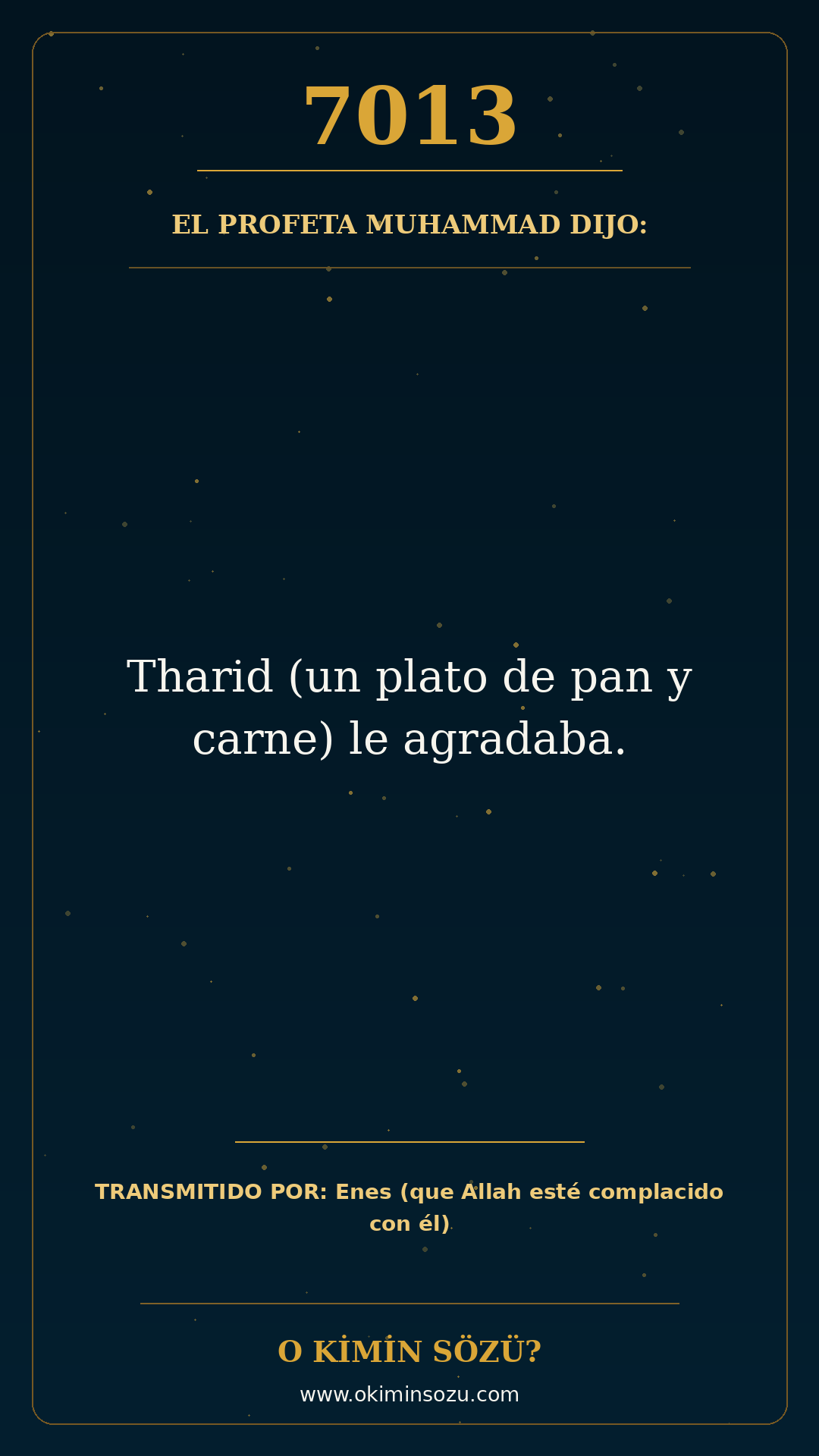 hadis 7013 es