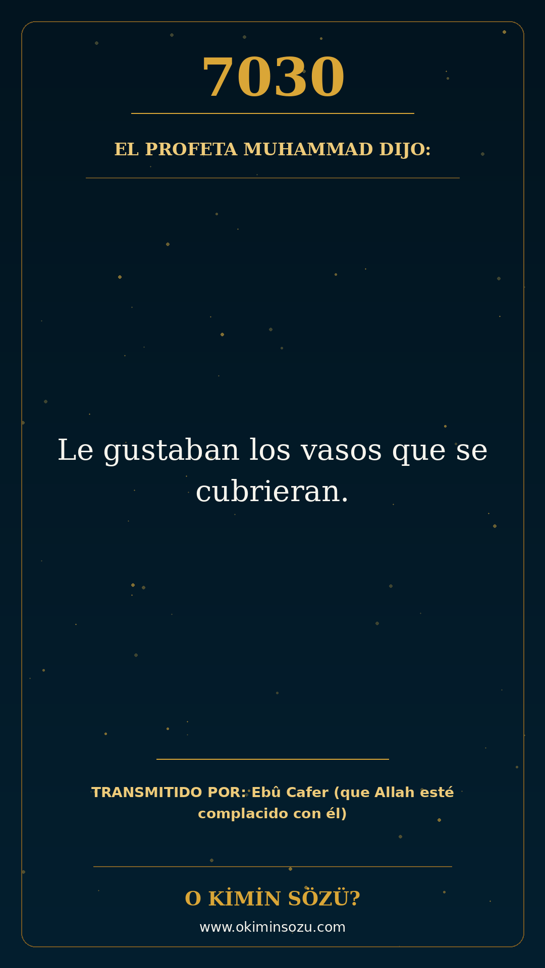 hadis 7030 es