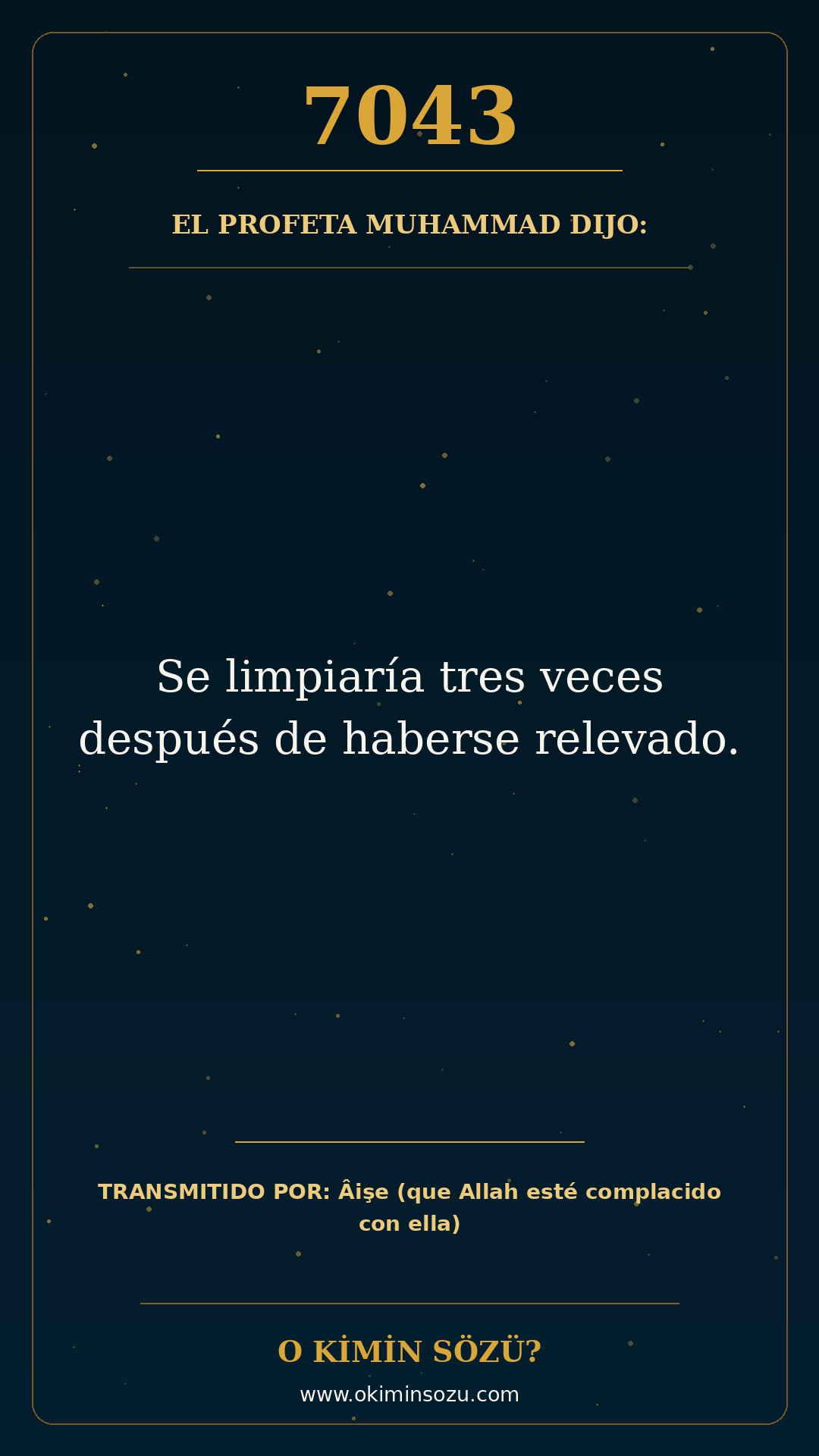 hadis 7043 es