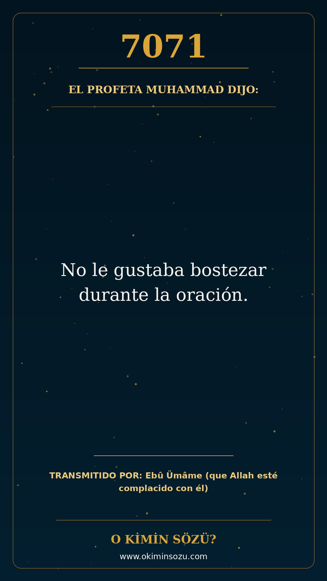 hadis 7071 es