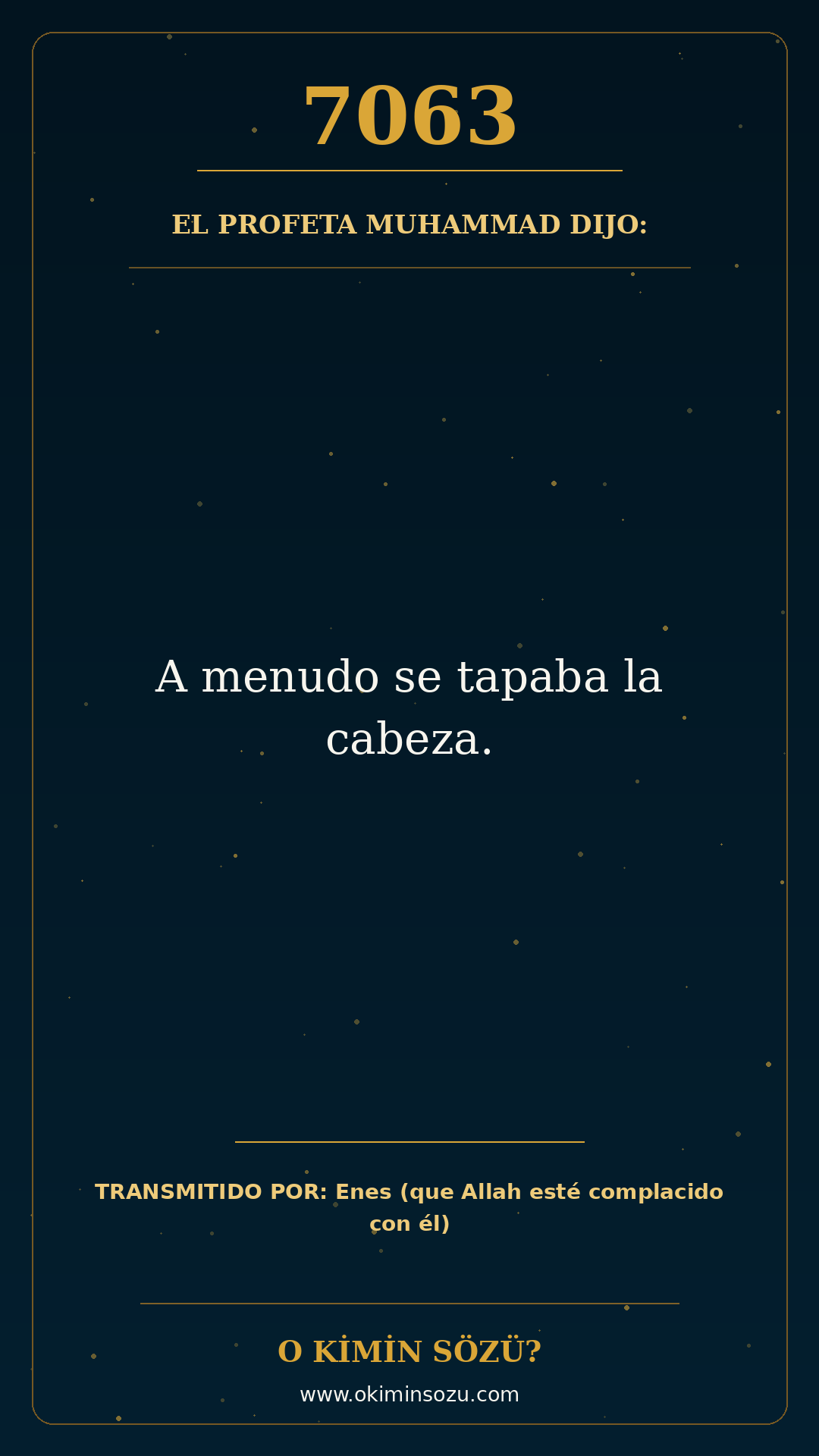 hadis 7063 es