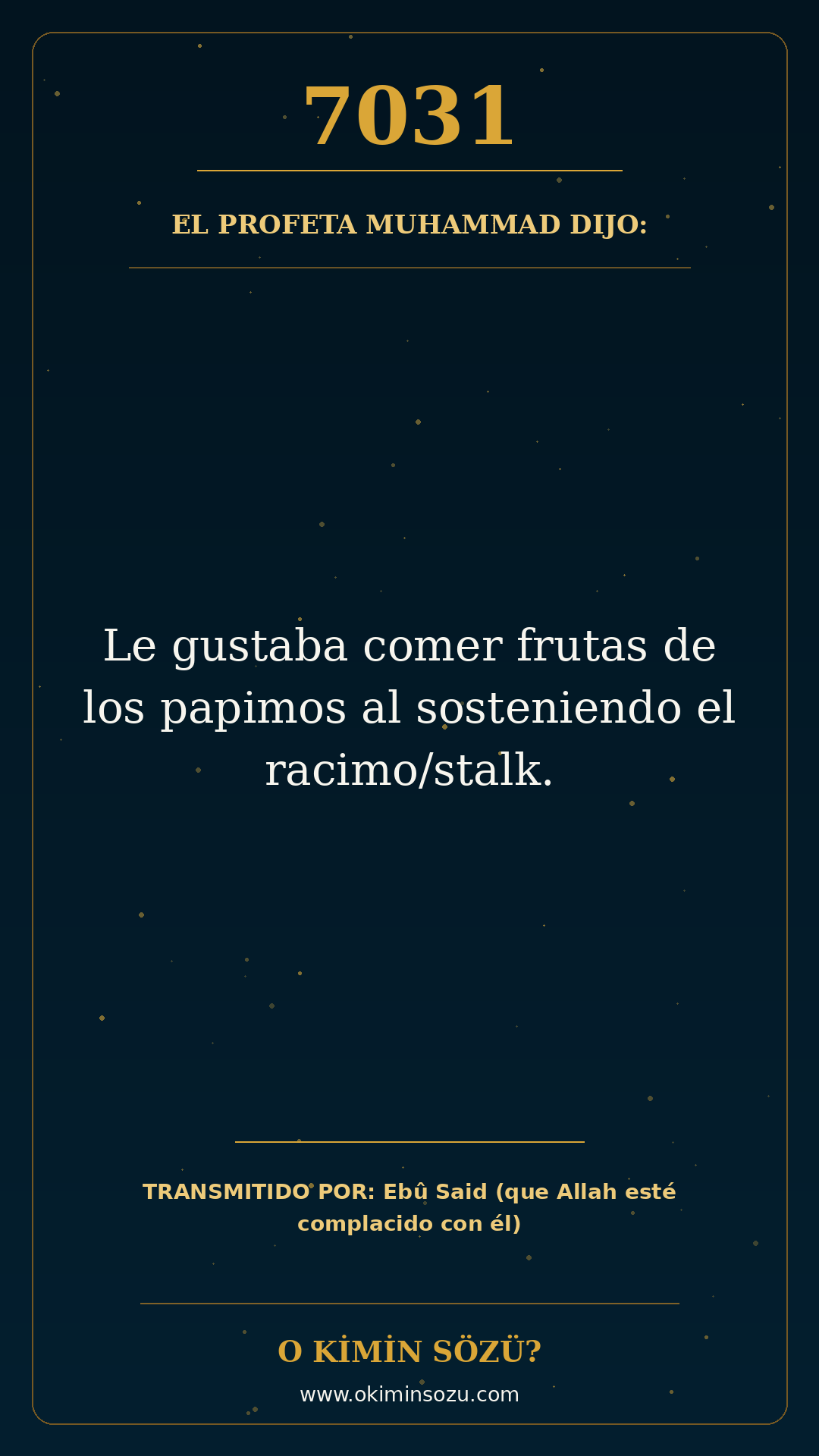 hadis 7031 es