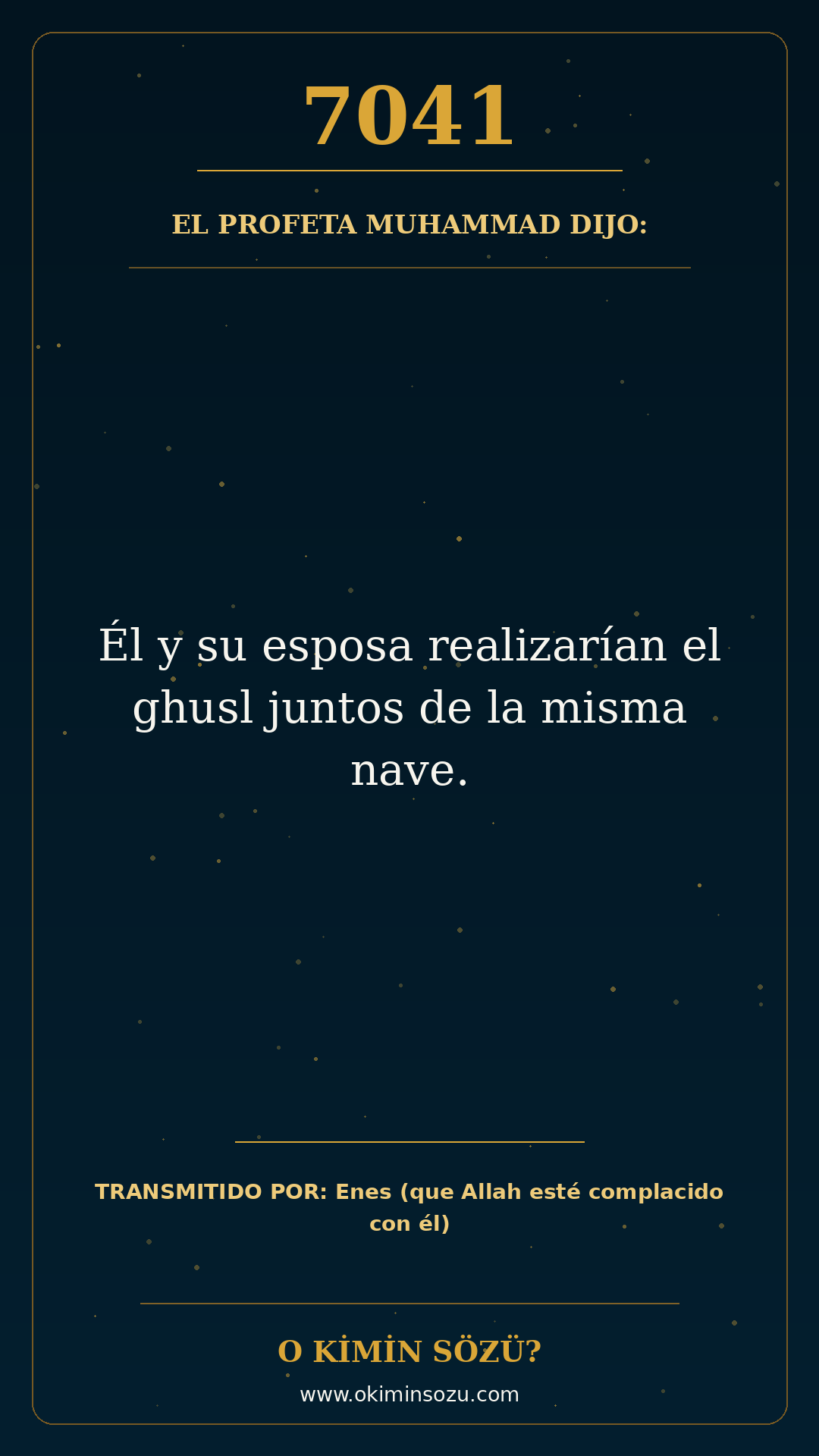 hadis 7041 es