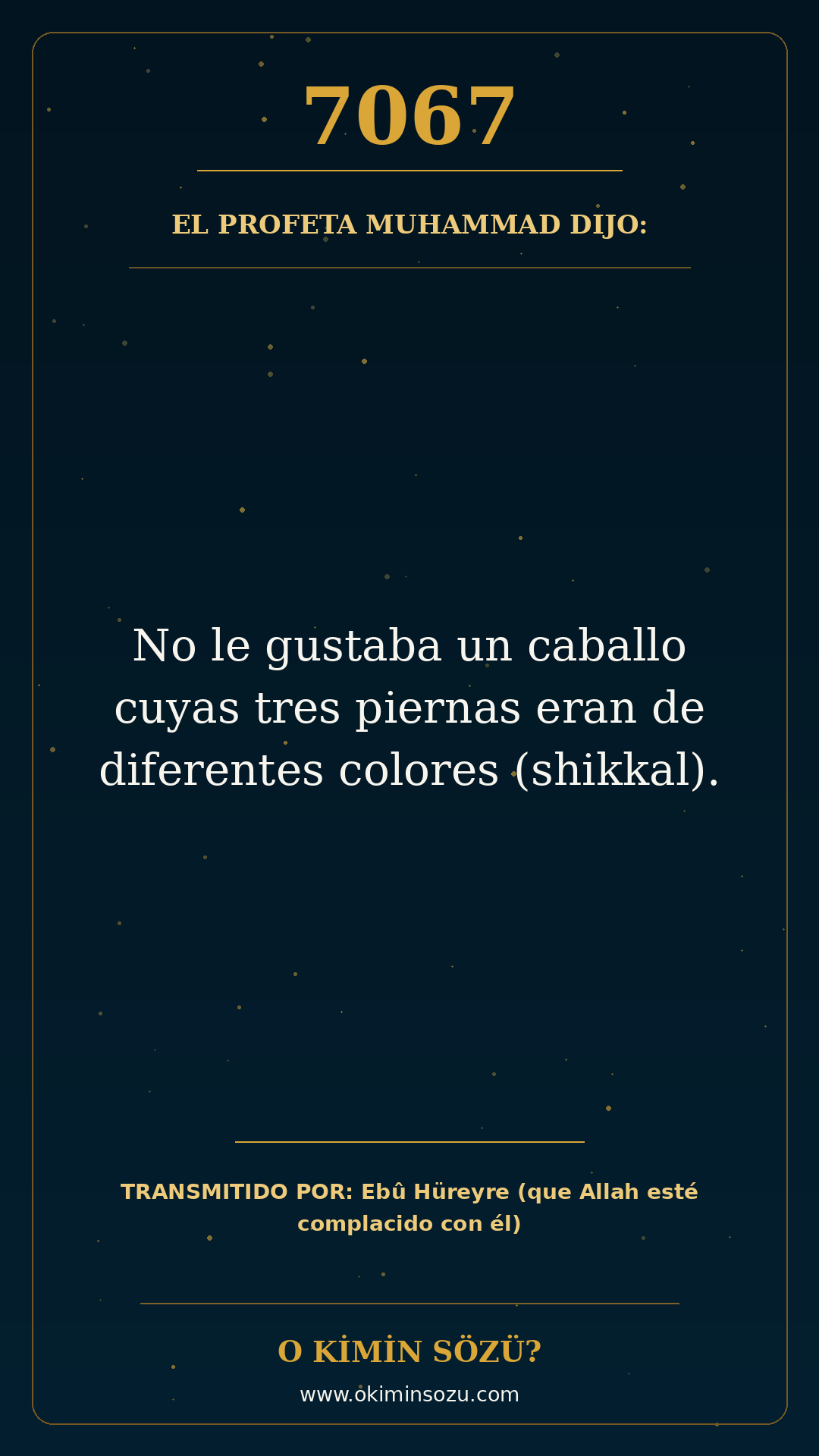 hadis 7067 es