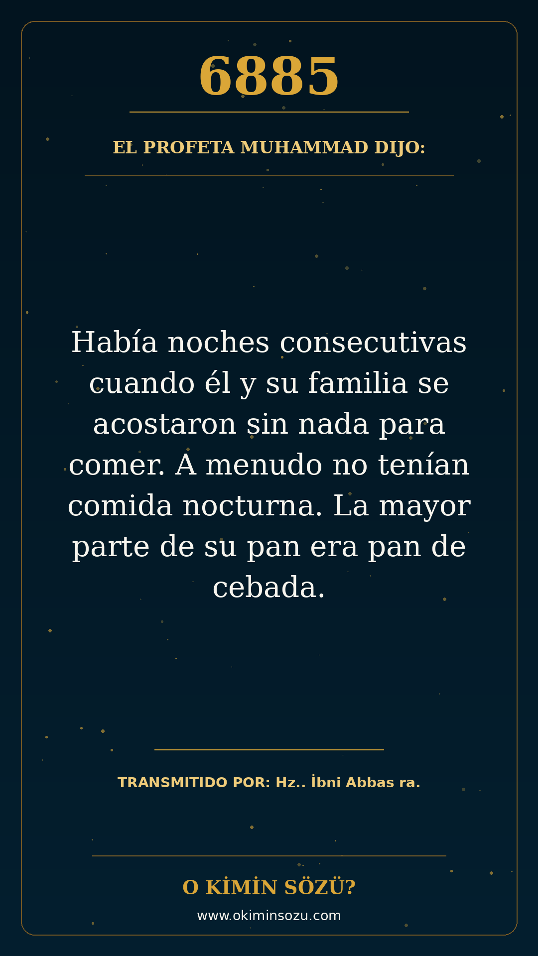hadis 6885 es