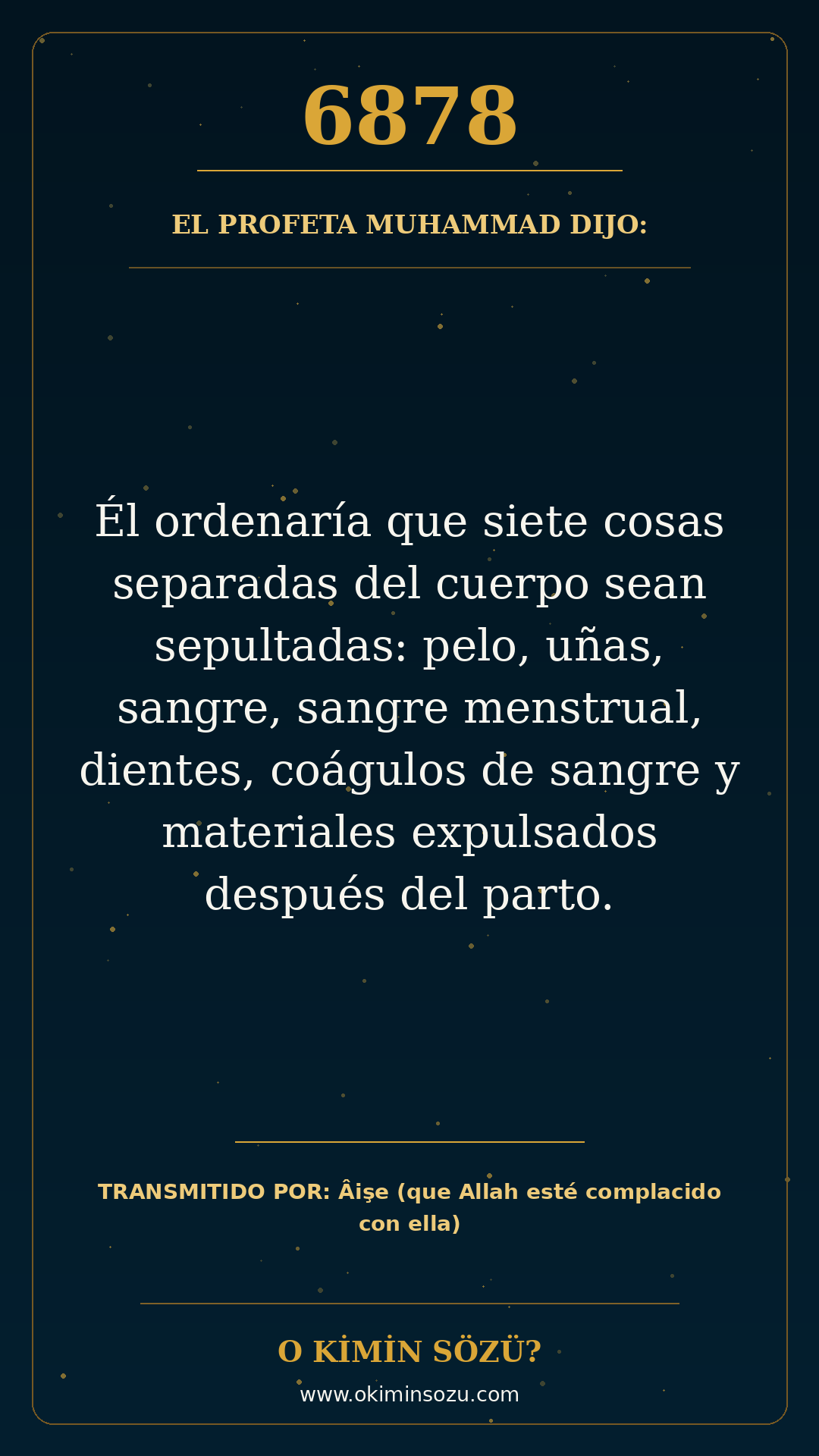 hadis 6878 es