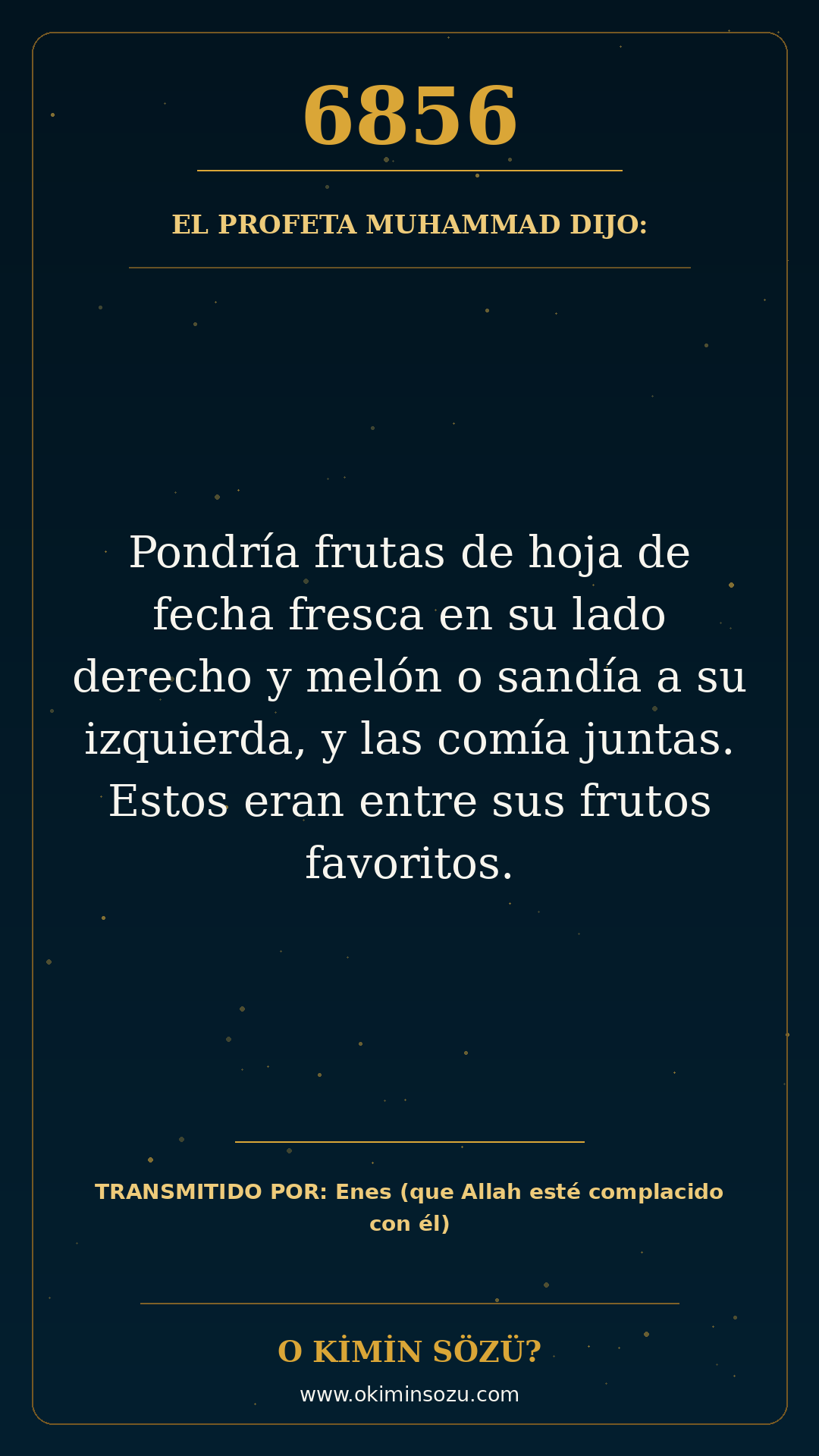 hadis 6856 es