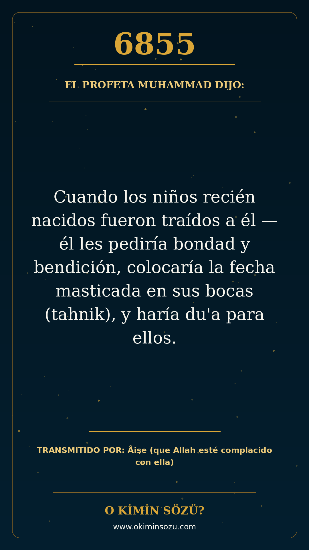 hadis 6855 es